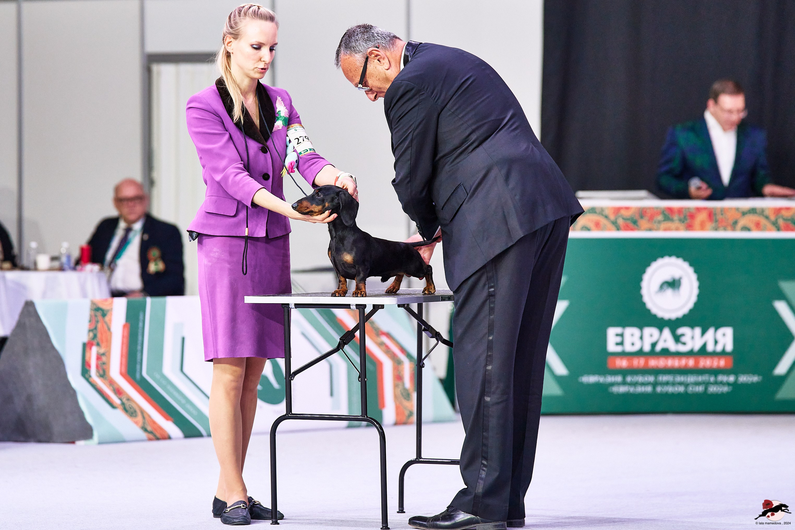 16.11.2024 «ЕВРАЗИЯ. КУБОК ПРЕЗИДЕНТА РКФ 2024»