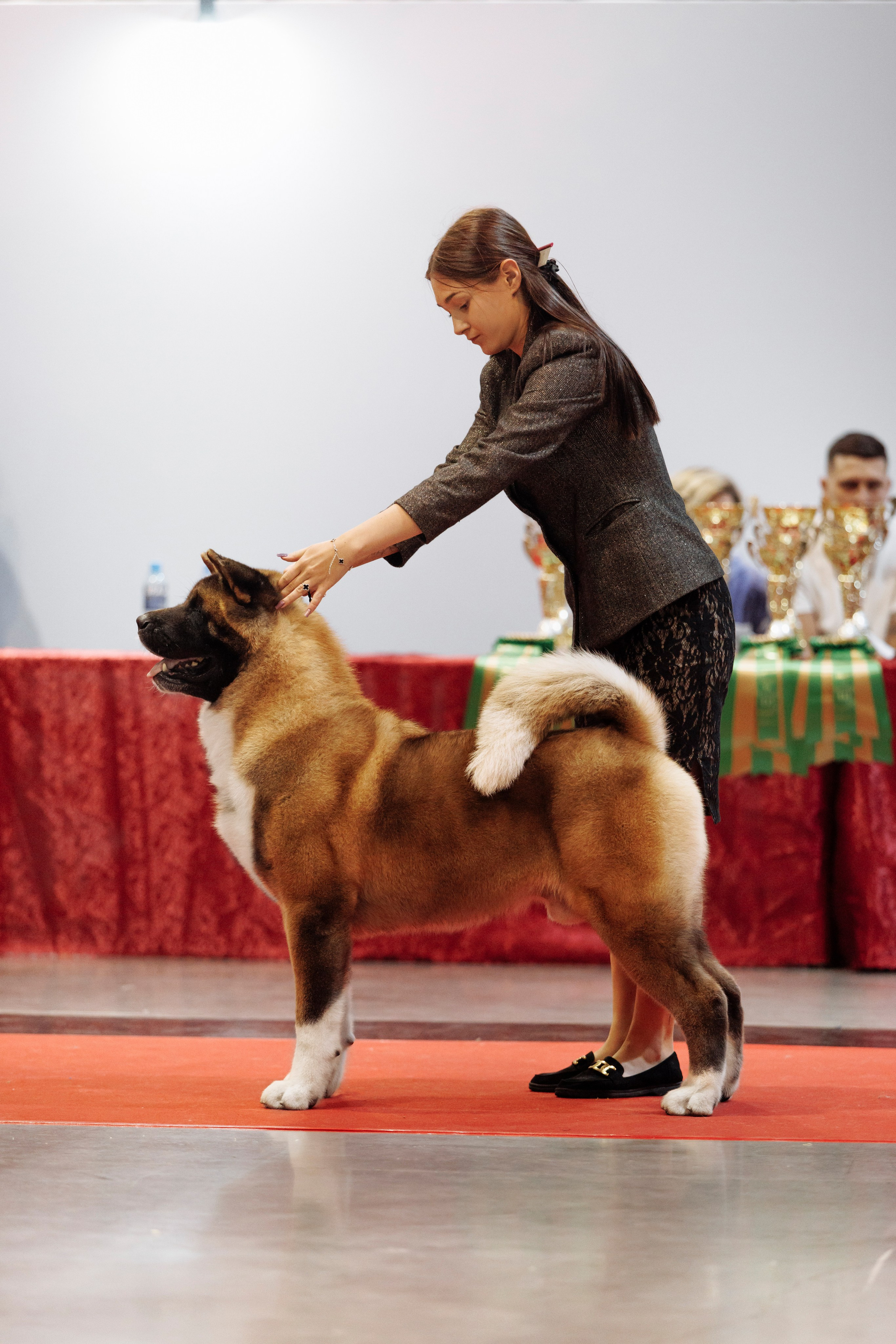 18/19.10.2025 — Екатеринбург. Фотограф-анималист Саша Вязьмина