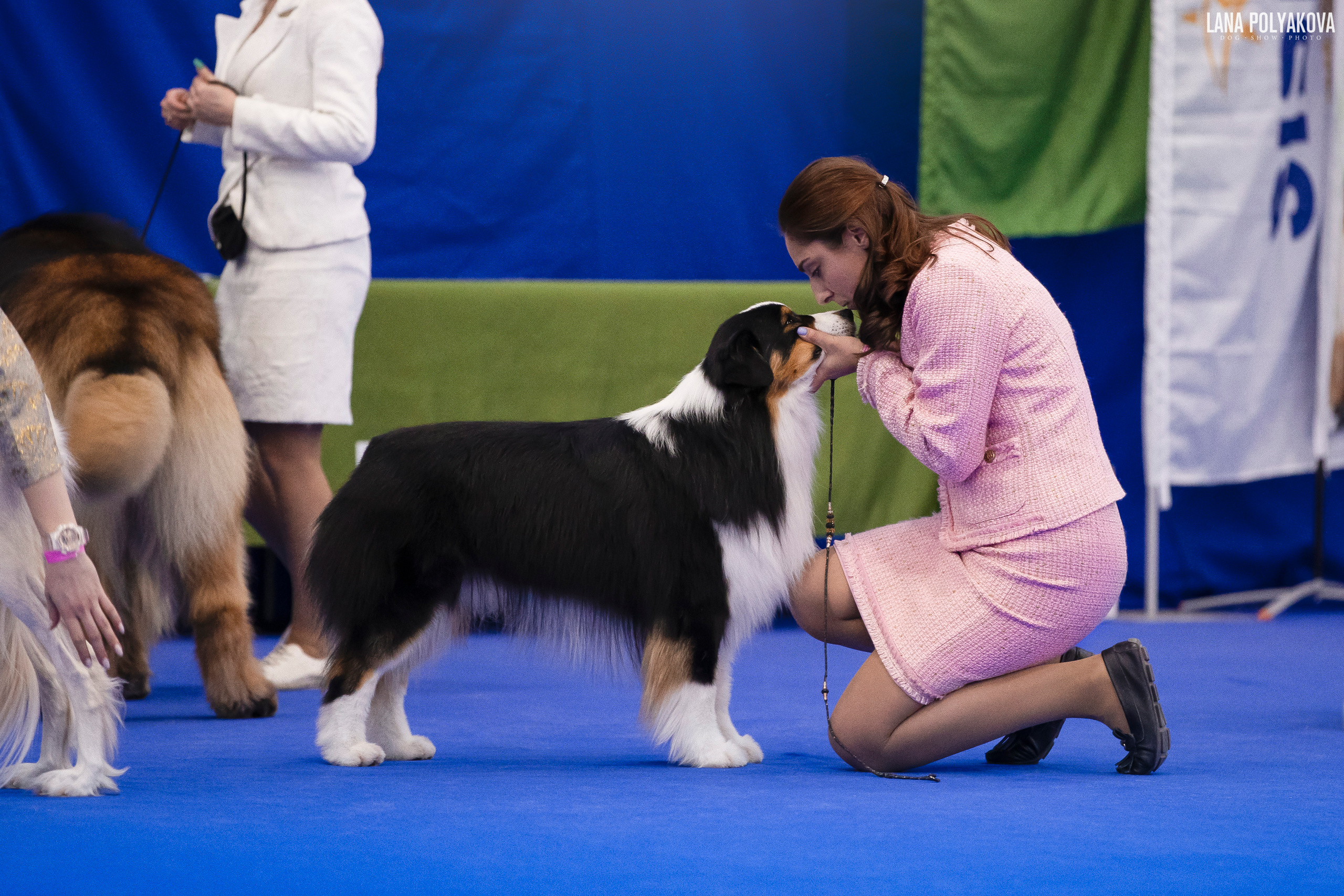 NDS Grand prix «Spring Petersburg 2022» «Elite-Petersburg 2022». ФОТОГРАФ-АНИМАЛИСТ l LANA POLYAKOVA