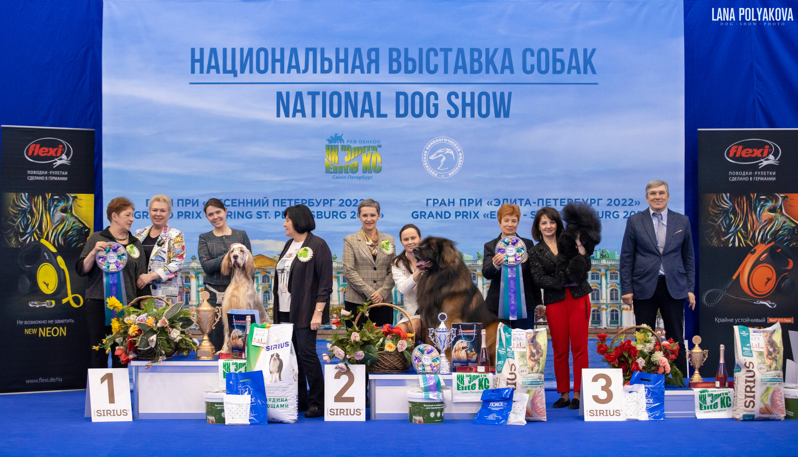 NDS Grand prix «Spring Petersburg 2022» «Elite-Petersburg 2022». ФОТОГРАФ-АНИМАЛИСТ l LANA POLYAKOVA