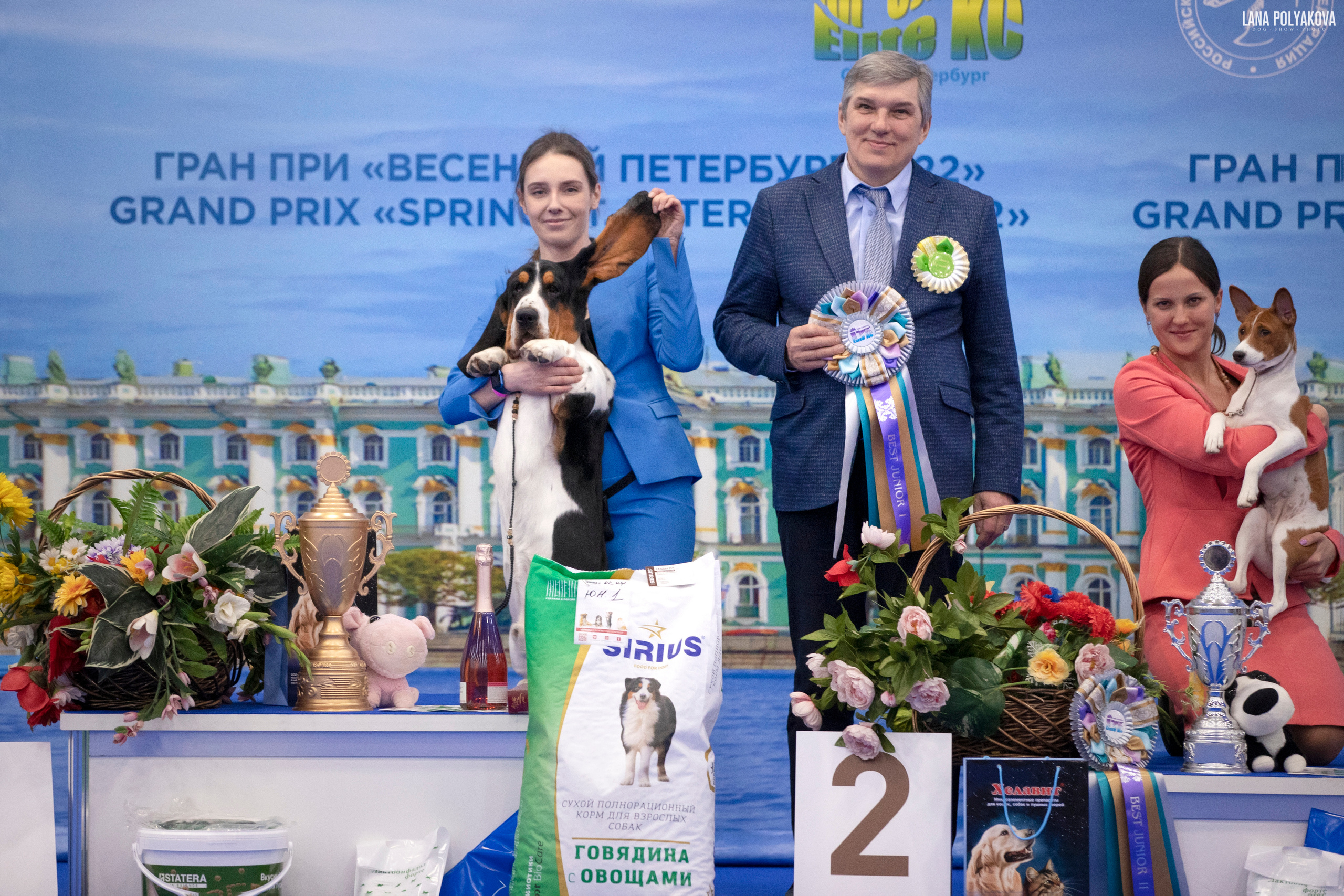 NDS Grand prix «Spring Petersburg 2022» «Elite-Petersburg 2022». ФОТОГРАФ-АНИМАЛИСТ l LANA POLYAKOVA