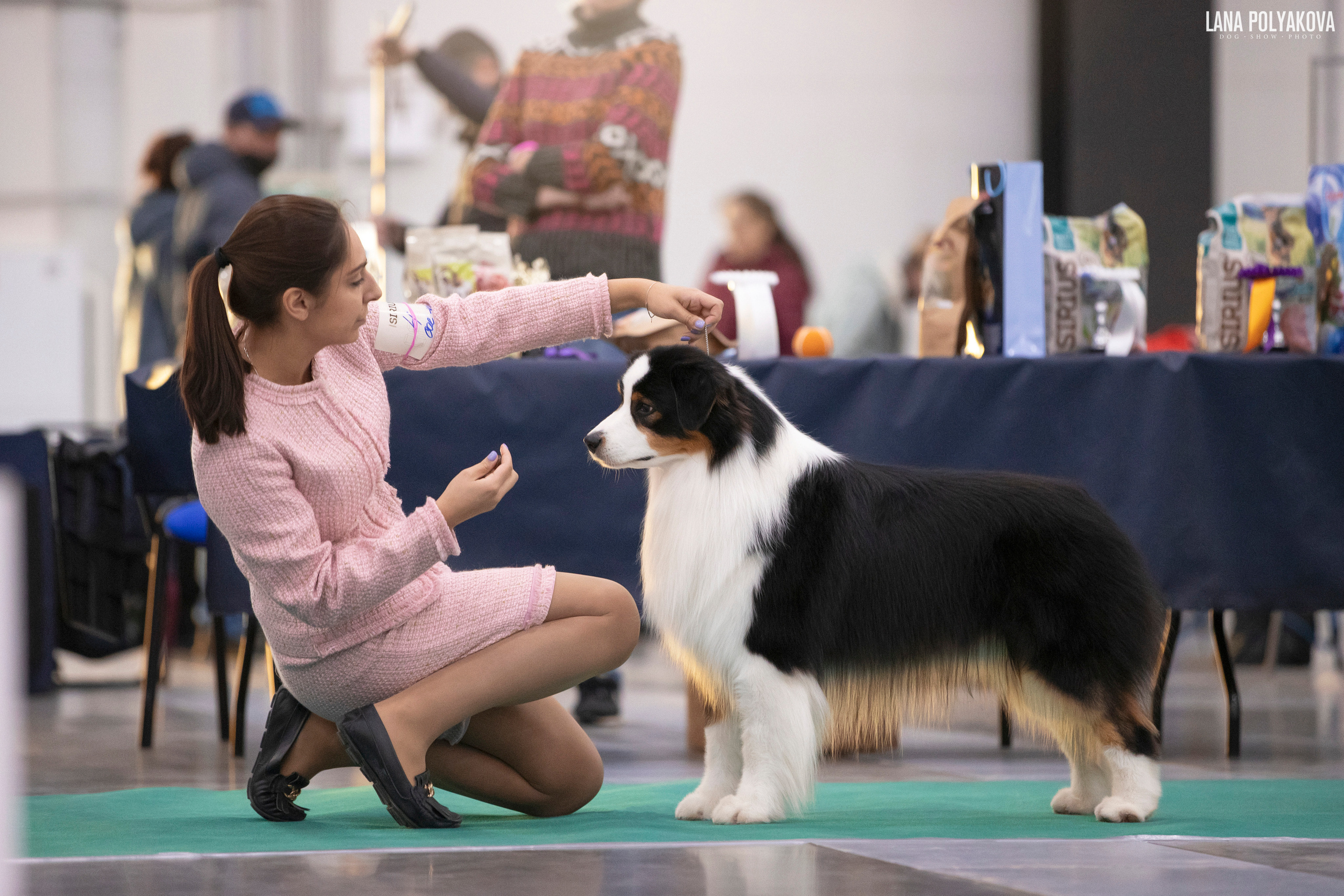 NDS Grand prix «Spring Petersburg 2022» «Elite-Petersburg 2022». ФОТОГРАФ-АНИМАЛИСТ l LANA POLYAKOVA