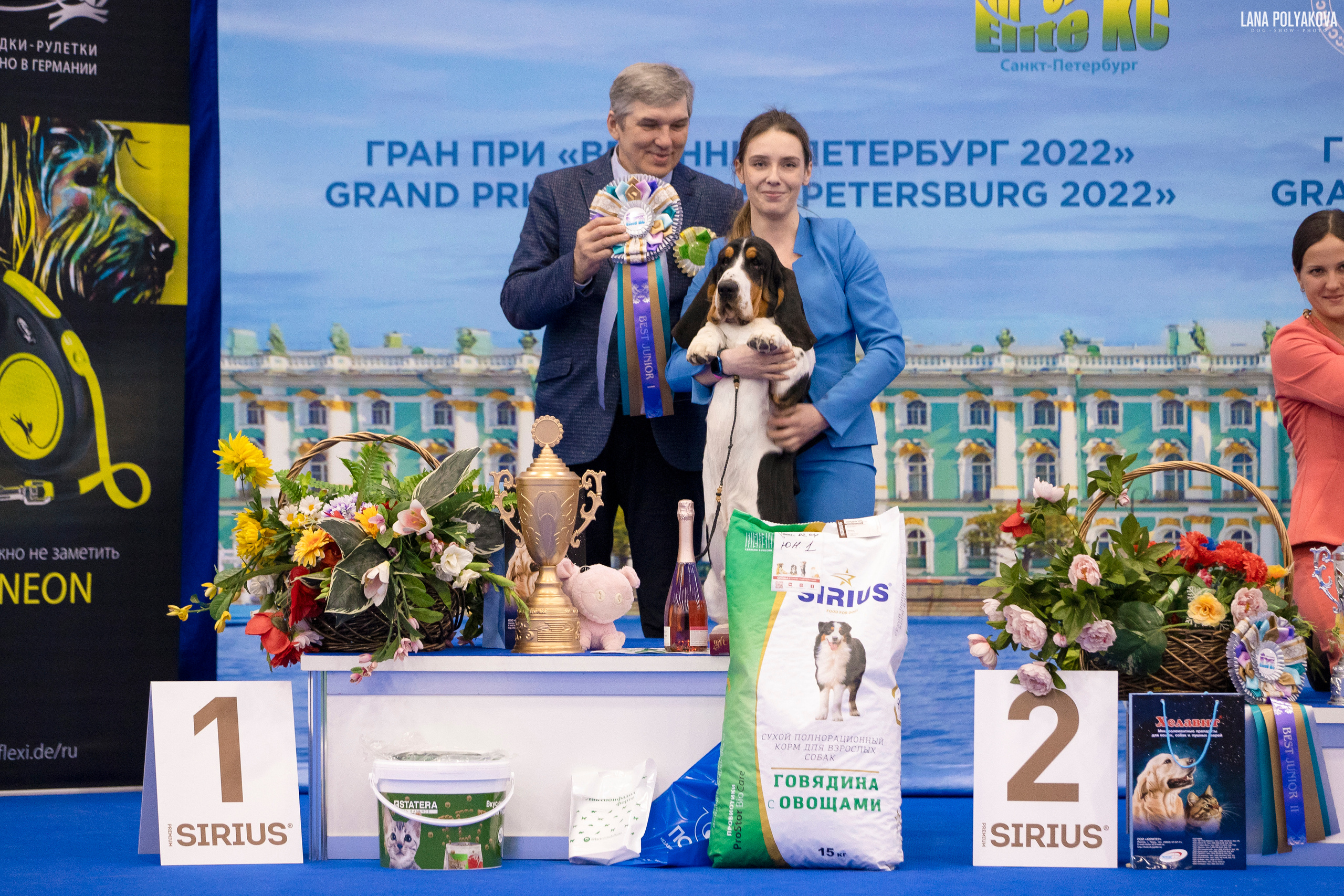 NDS Grand prix «Spring Petersburg 2022» «Elite-Petersburg 2022». ФОТОГРАФ-АНИМАЛИСТ l LANA POLYAKOVA