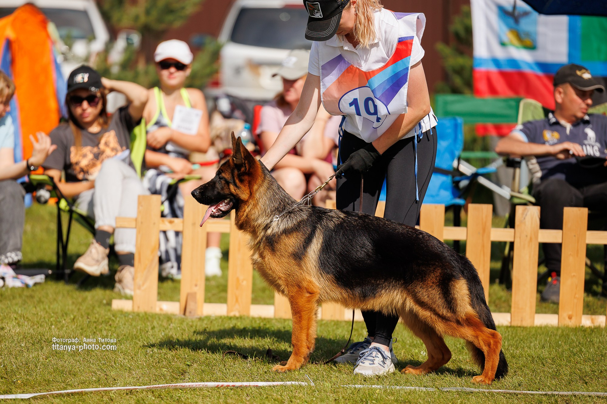 Немецкие овчарки: фото из рингов и вне ринга, мутпроба (фотографии с выставок). Фотограф собак, фотограф-анималист Аня Титова (Titanya). Москва