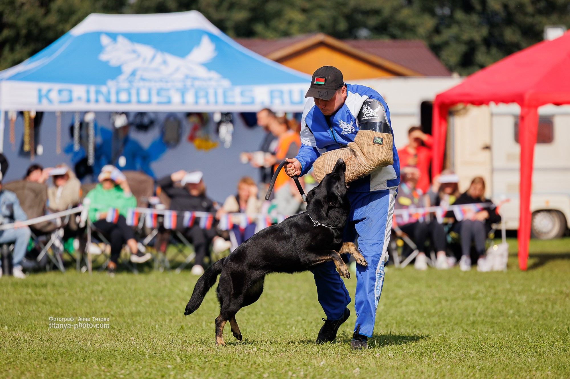 Немецкие овчарки: фото из рингов и вне ринга, мутпроба (фотографии с выставок). Фотограф собак, фотограф-анималист Аня Титова (Titanya). Москва