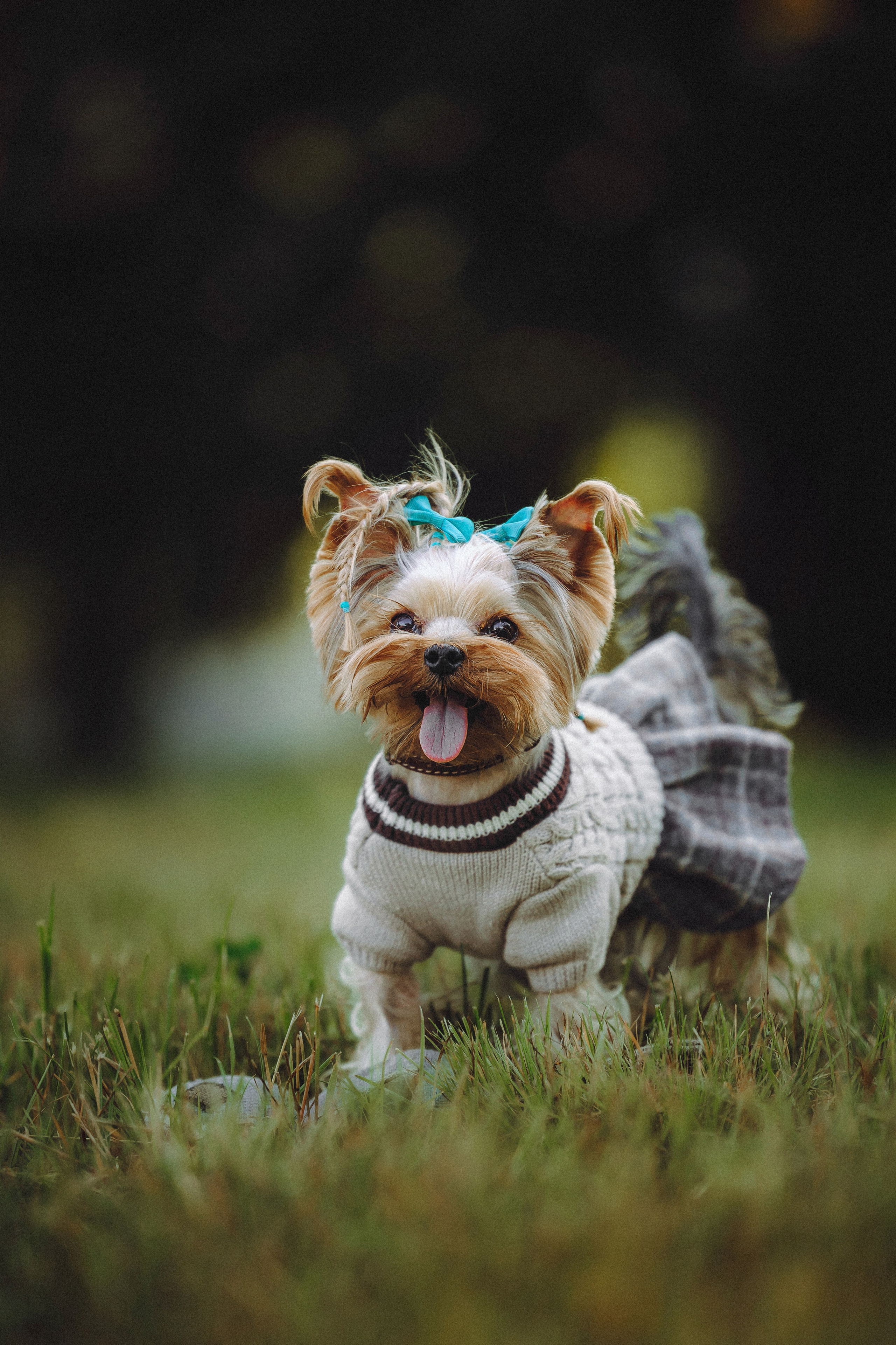 Дженни, Оливия и их семья