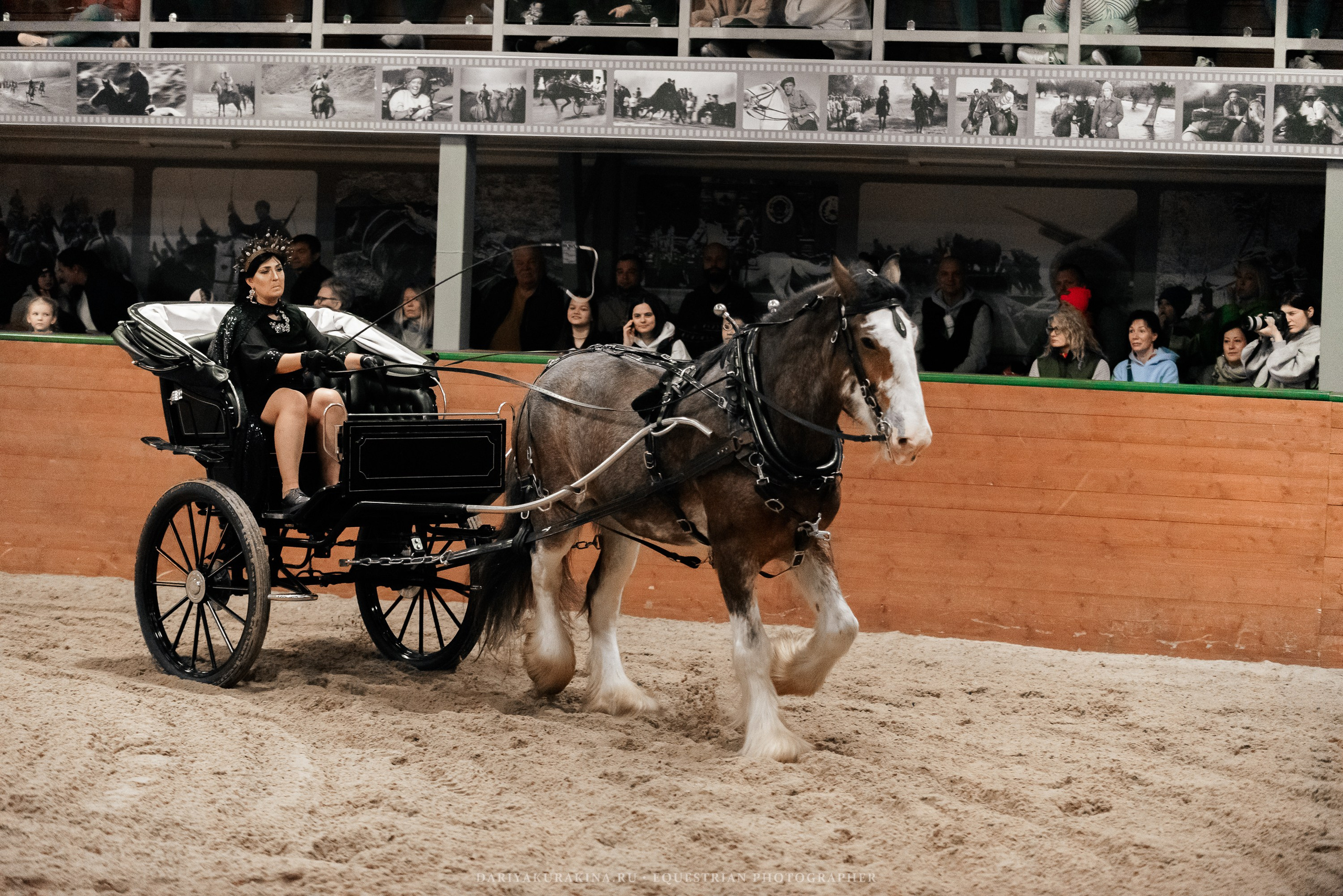 Конное представление «Дыхание Звёзд». Конный фотограф Куракина Дарья • Фотосессии с лошадьми