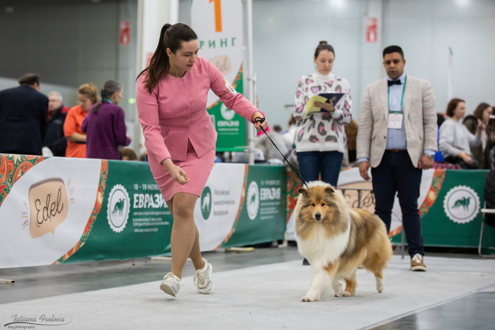Съёмка в ринге на Евразии, России. Фотограф-анималист в Москве и Московской области Татьяна Фролова