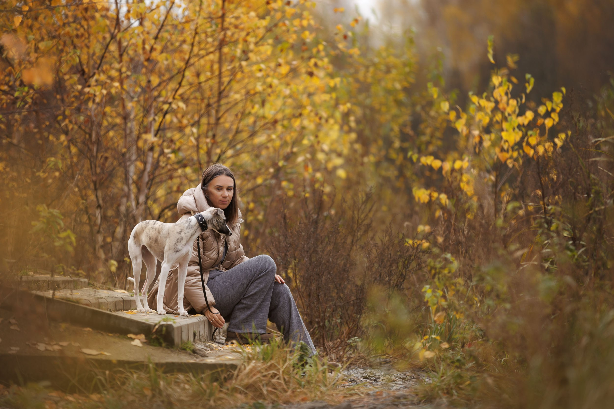 Город Набережных. Фотограф-анималист в Москве и Московской области Татьяна Фролова