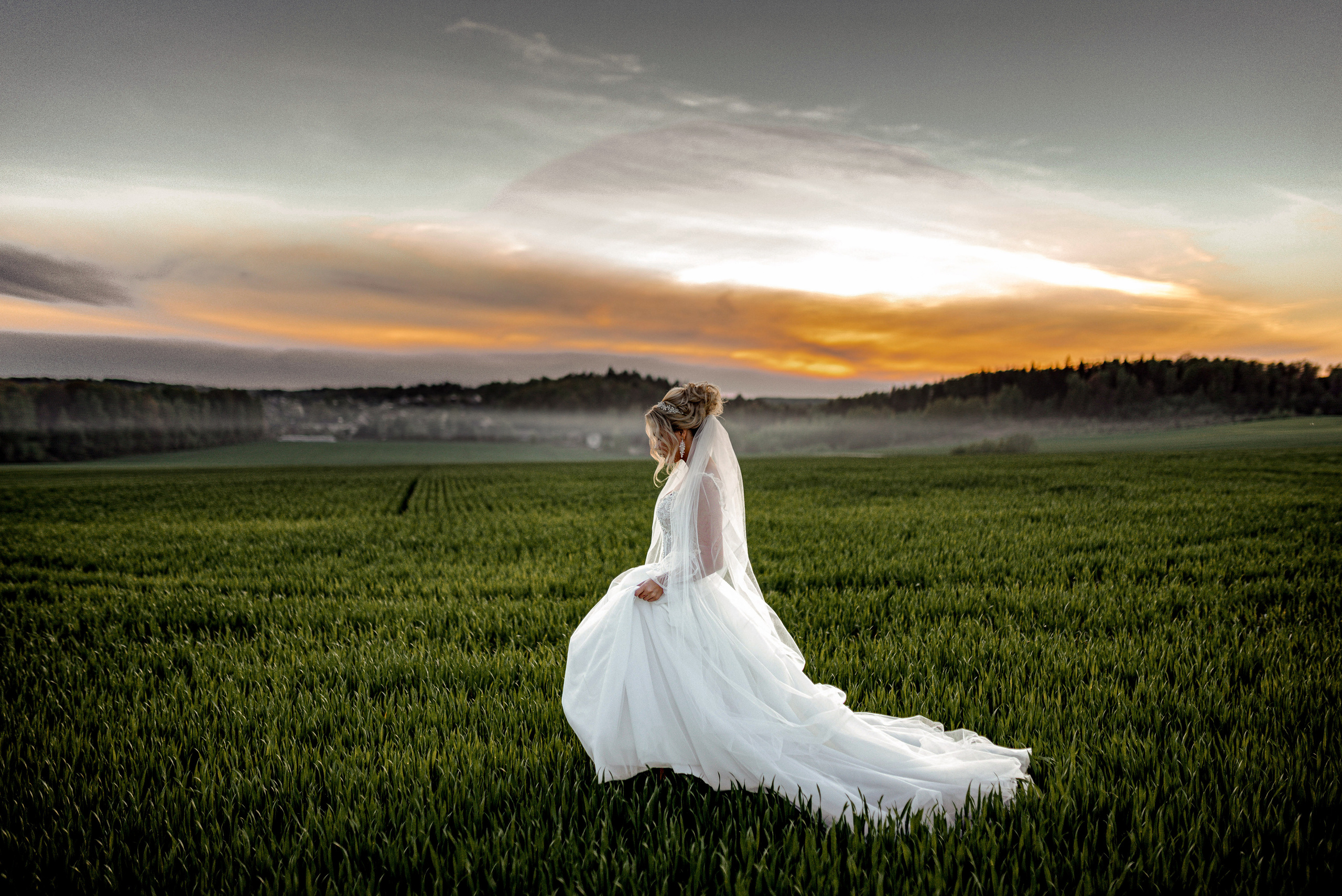 Wedding photographer