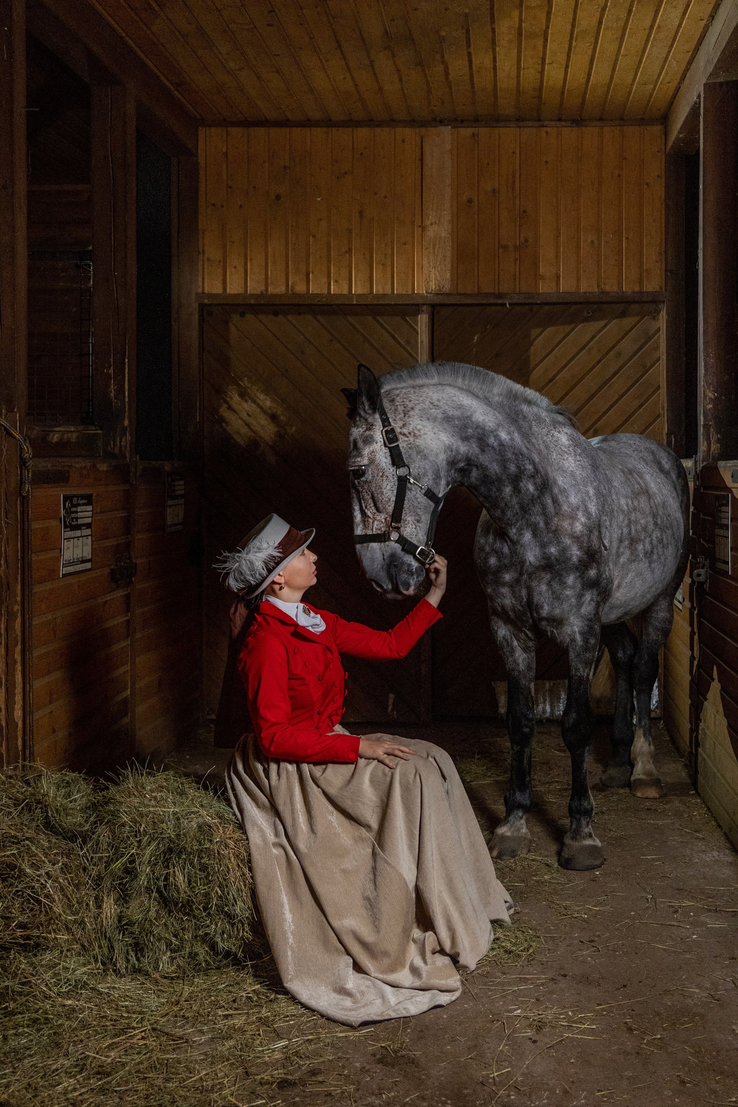 Фотограф Татьяна Марсуверских г. Жуковский, Москва и Мо. Репортажные съёмки, фотосессии с лошадьми,  фотограф анималист, фотосъёмка животных. Фотограф для маркетплейсов, фотоуслуги в Жуковском Татьяна Марсуверских