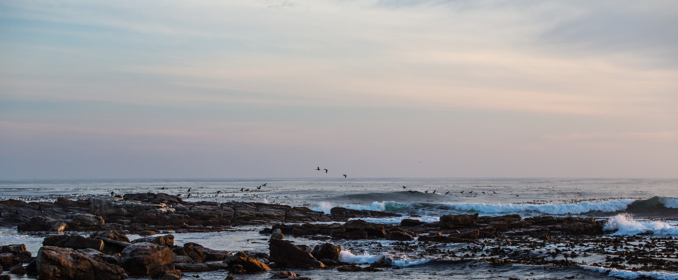 ЮАР. Добродеева Алла фотограф, Москва