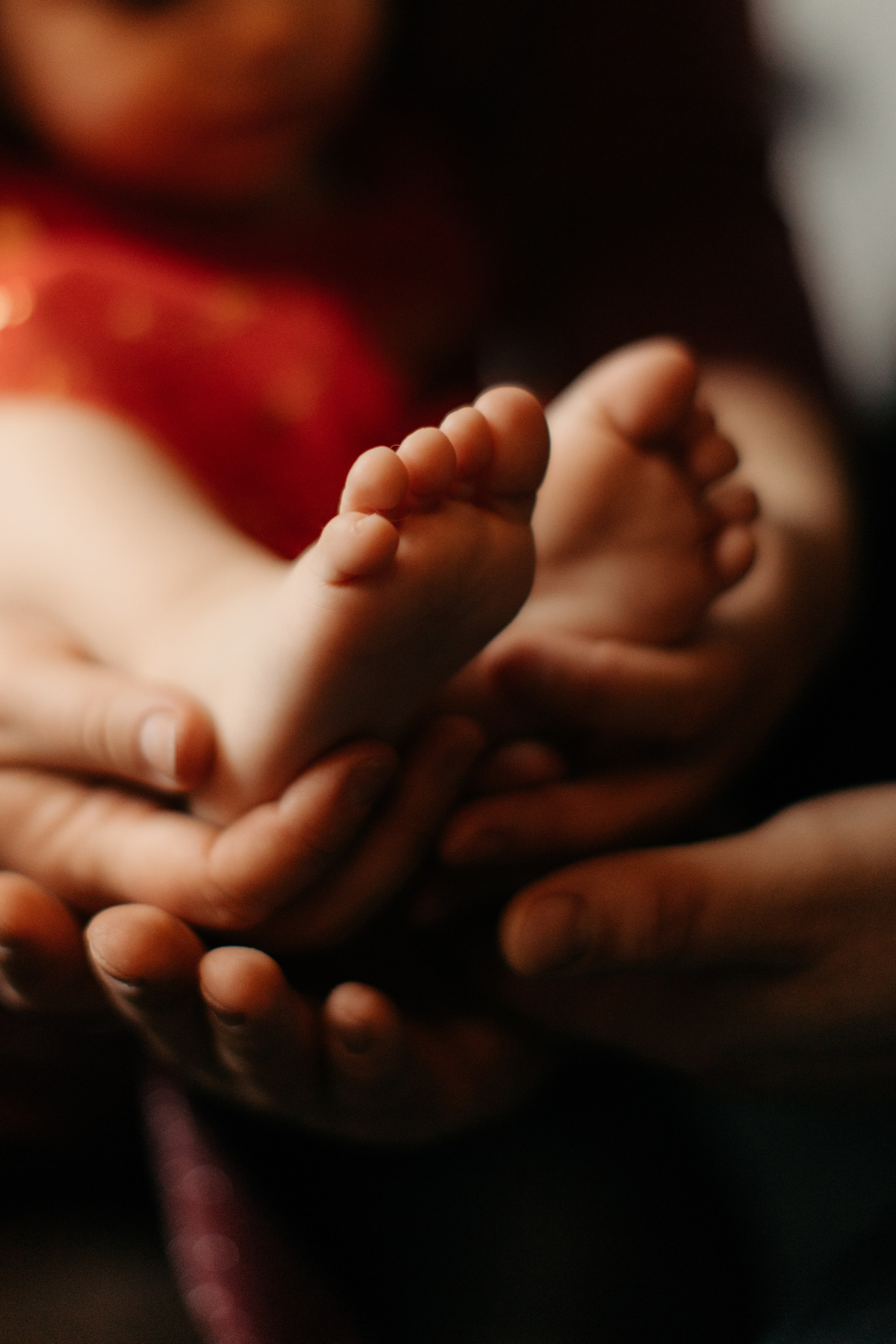 Новогодняя фотосессия. Свадебный и семейный фотограф Скрынник Светлана