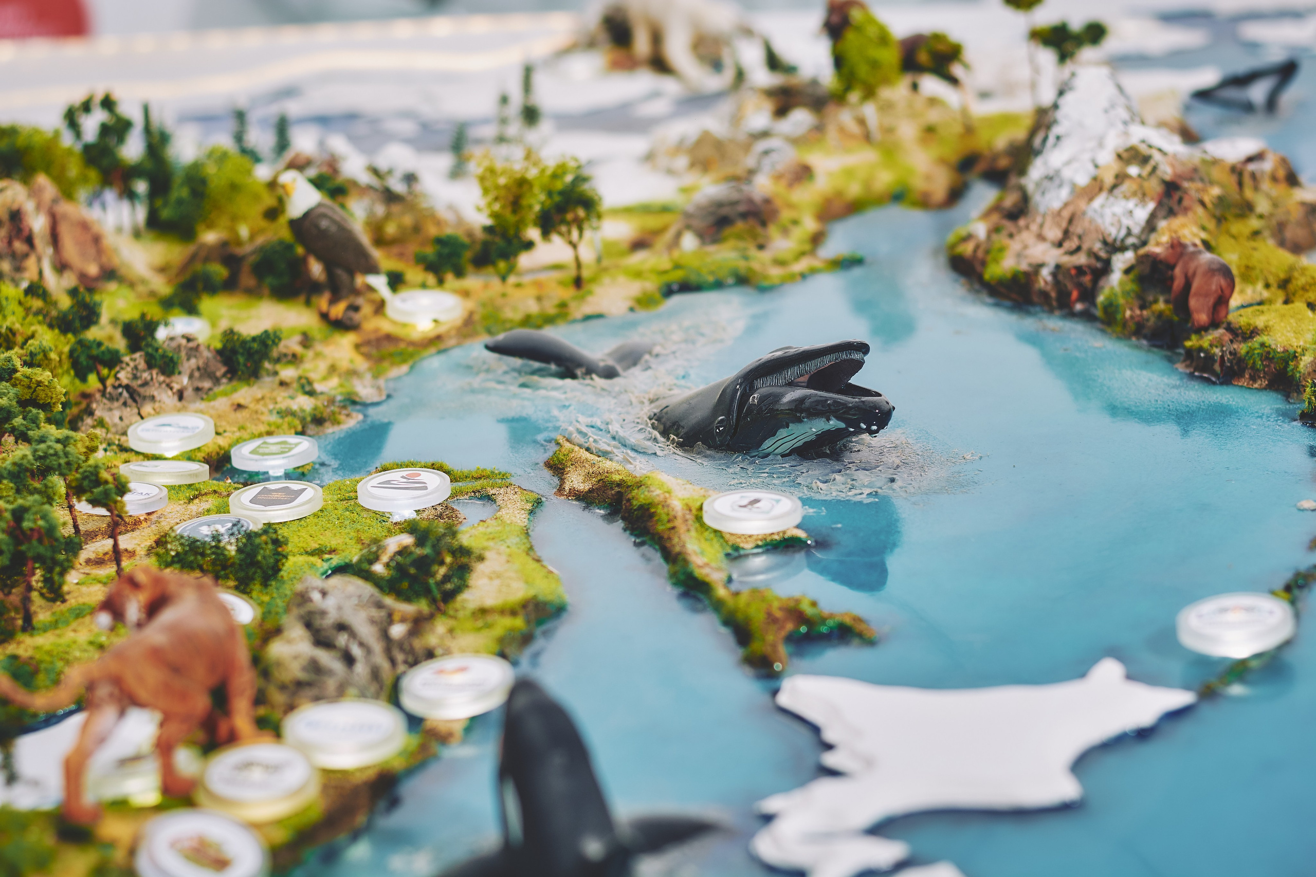 Интерьерная съемка Визит-центр Национальный парк «Кисловодский». Константин Кордонский | Интерьерный и food-фотограф в Кисловодске и КМВ