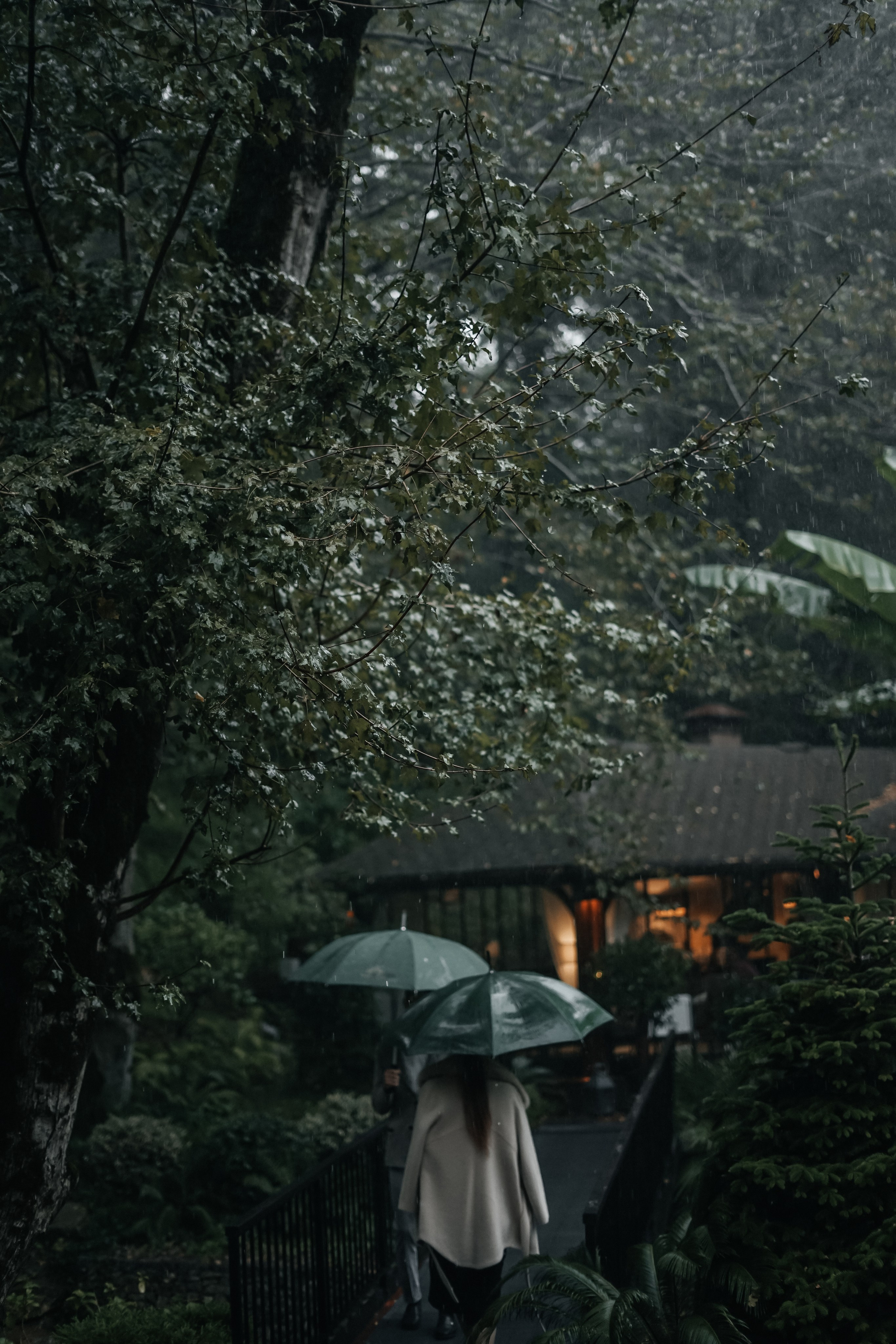 В «Мамай Кале». Главная