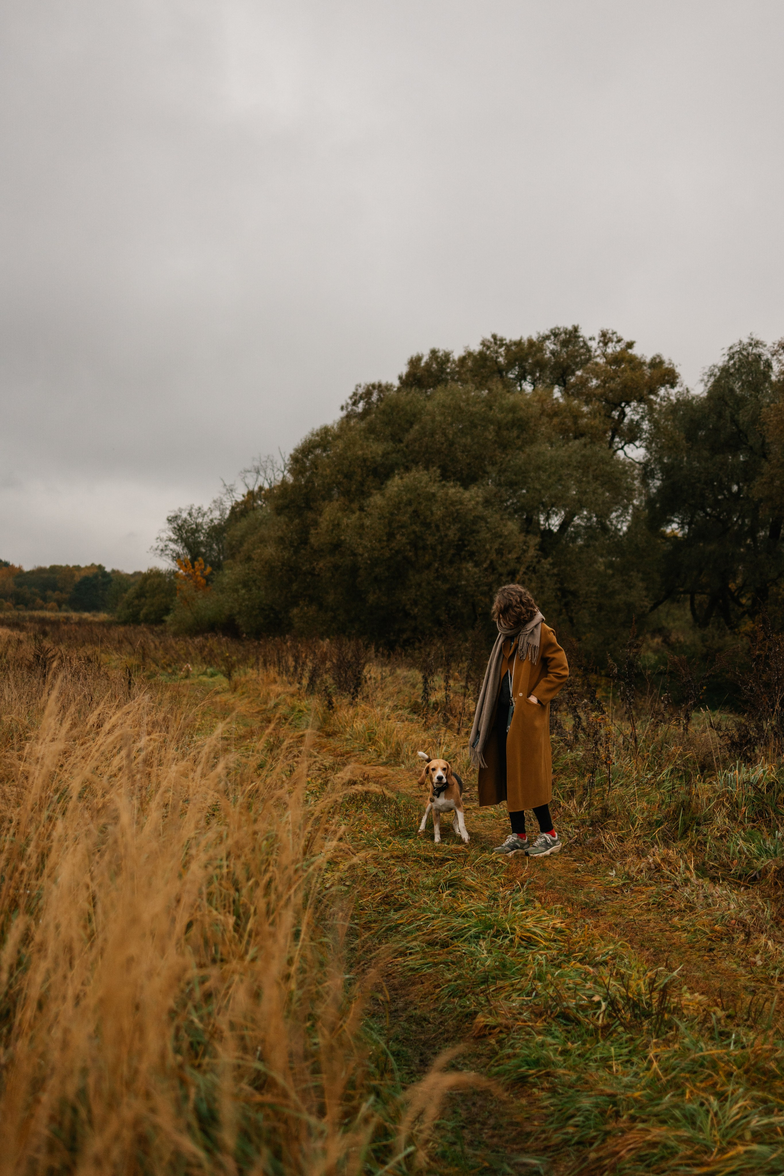 Лена и Тайгер. Фотограф — Анималист | Санкт-Петербург