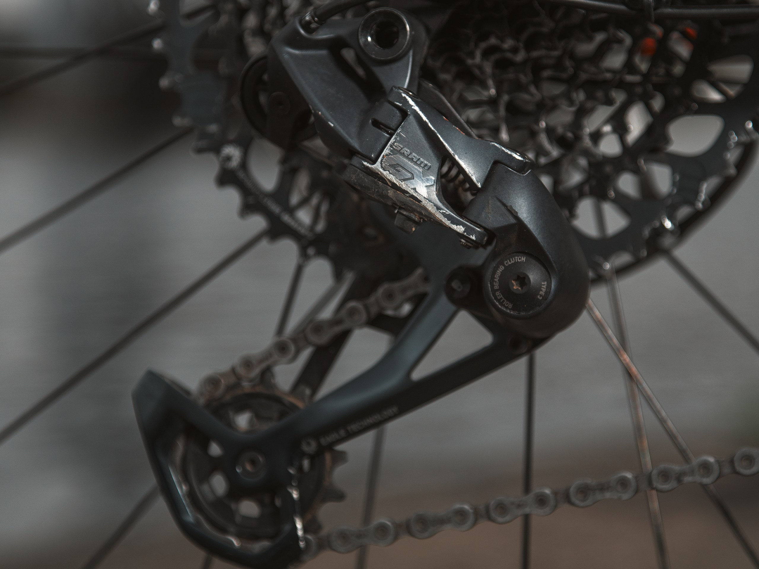 Mondraker. Фотограф анималист Никита Натальный