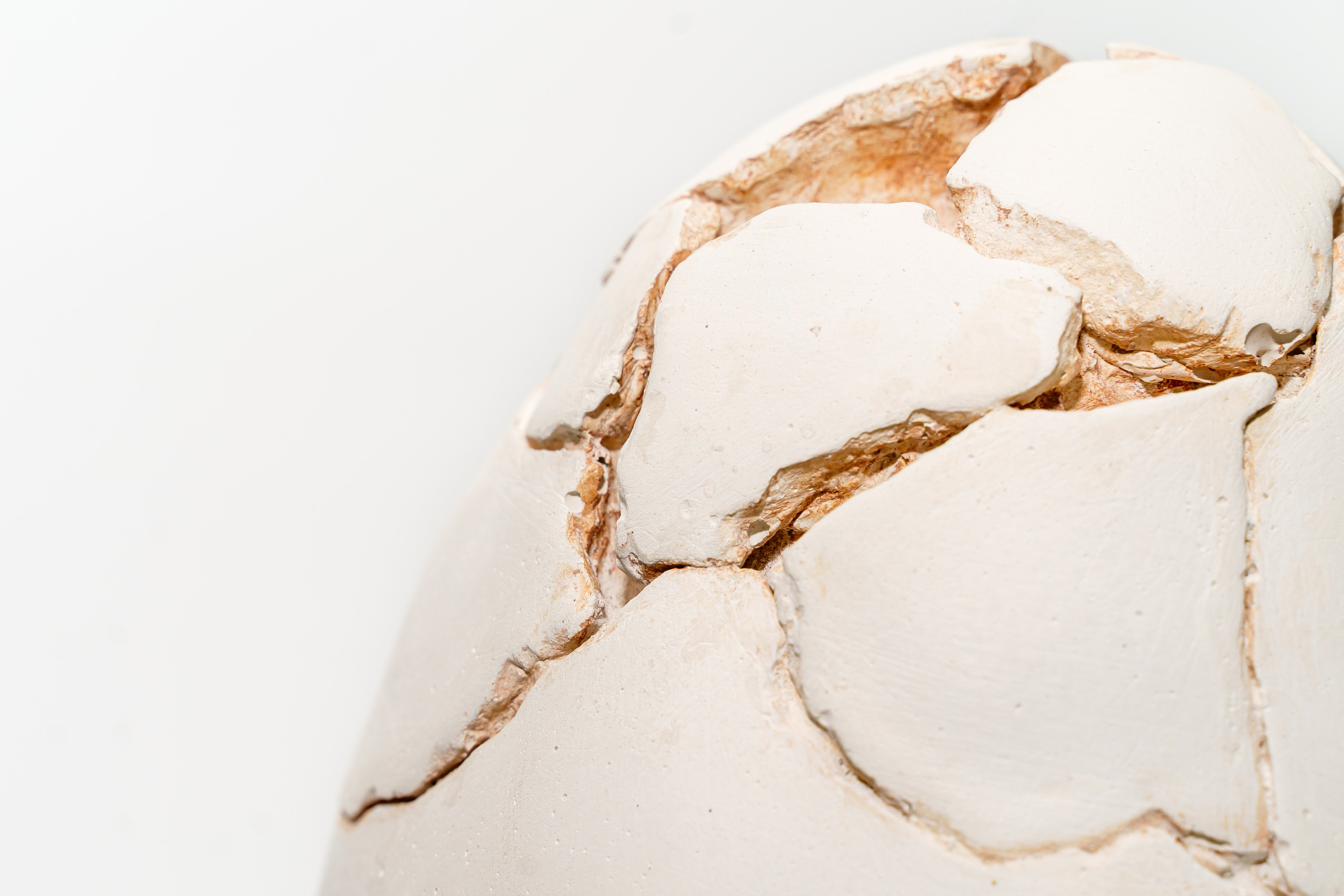 Искусство. Твой фотограф Алина Кочергина