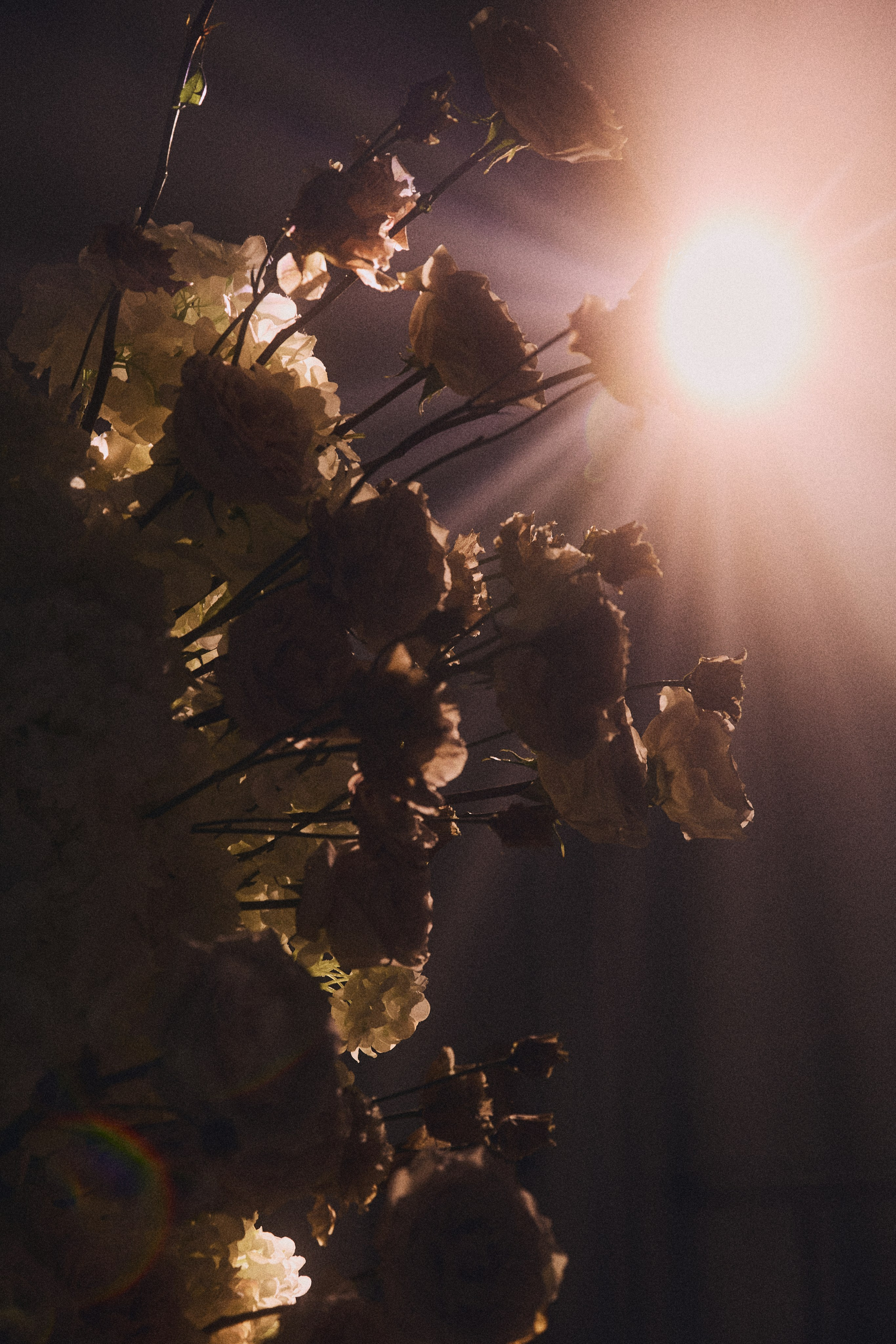 HER WILD, HIS CALM. Дмитрий Мазуркевич: Профессиональный Репортажный Фотограф