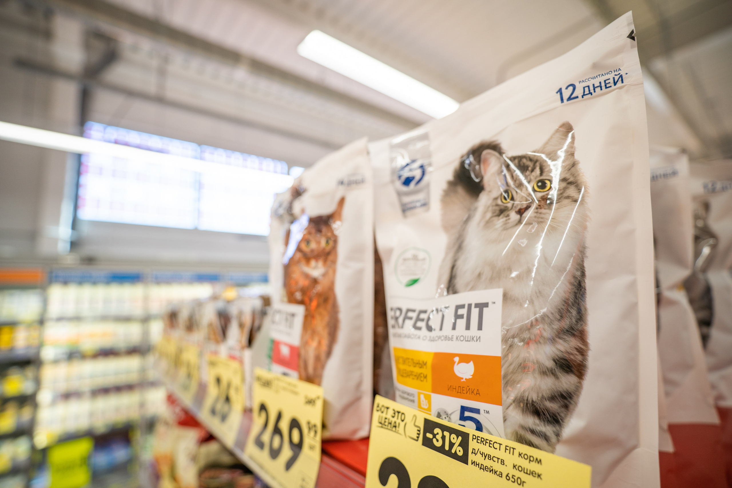 Открытие магазина «Верный». Концертный и репортажный фотограф в Санкт-Петербурге Слава Пахомов