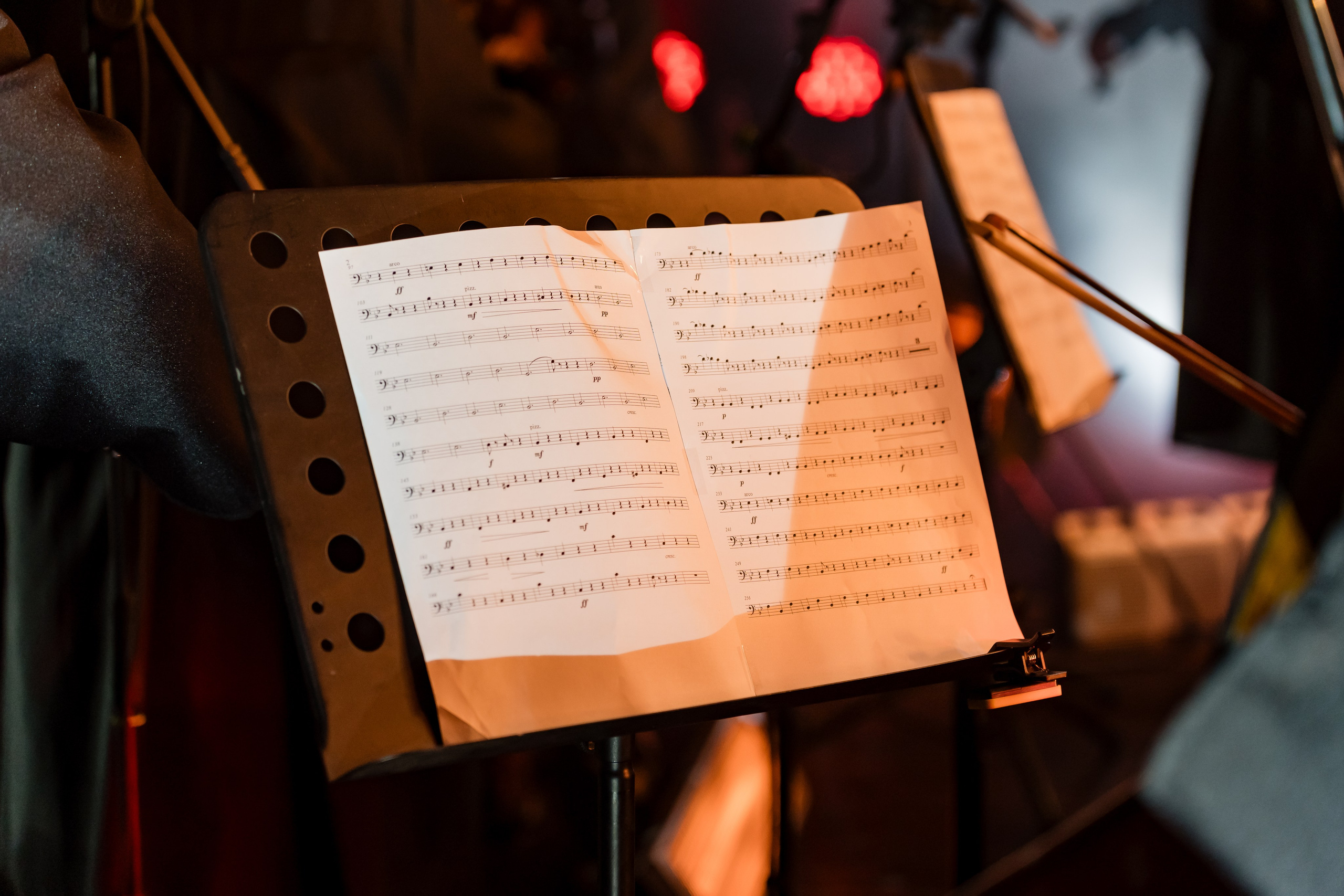 Ледяная симфония. Сад им. Баумана. 04.01.2025