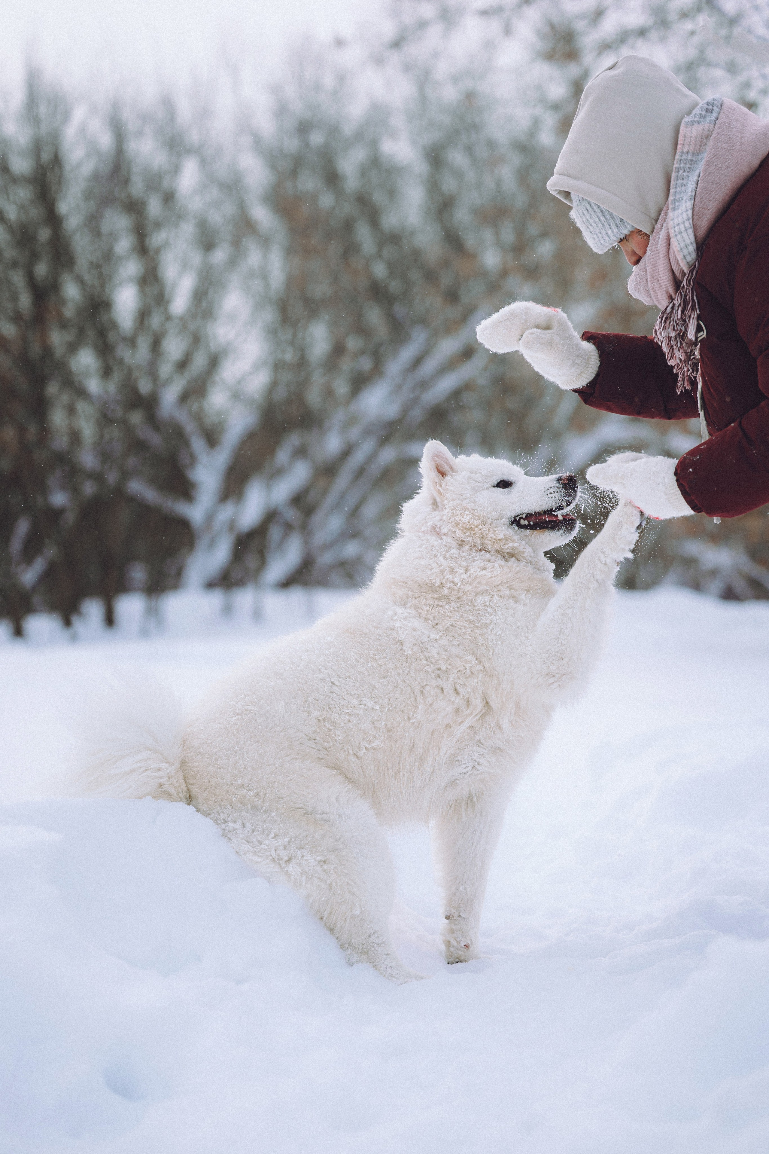 Мария и Мася