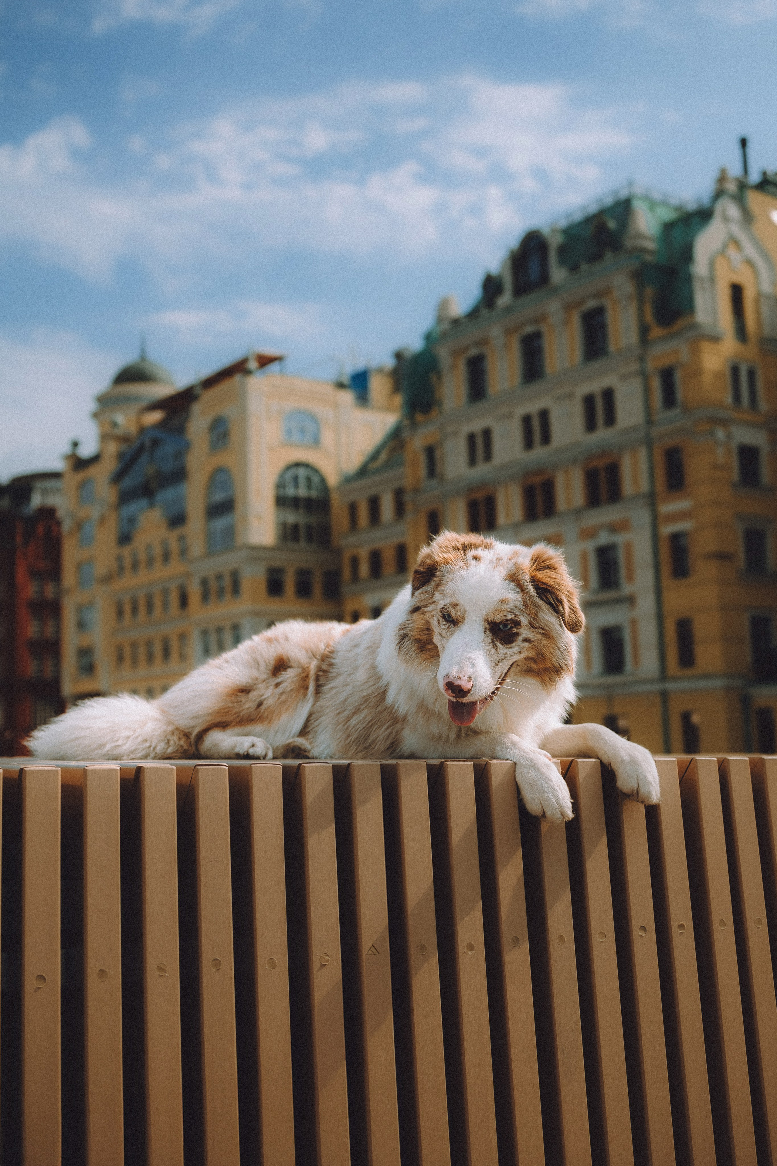 Один и его семья