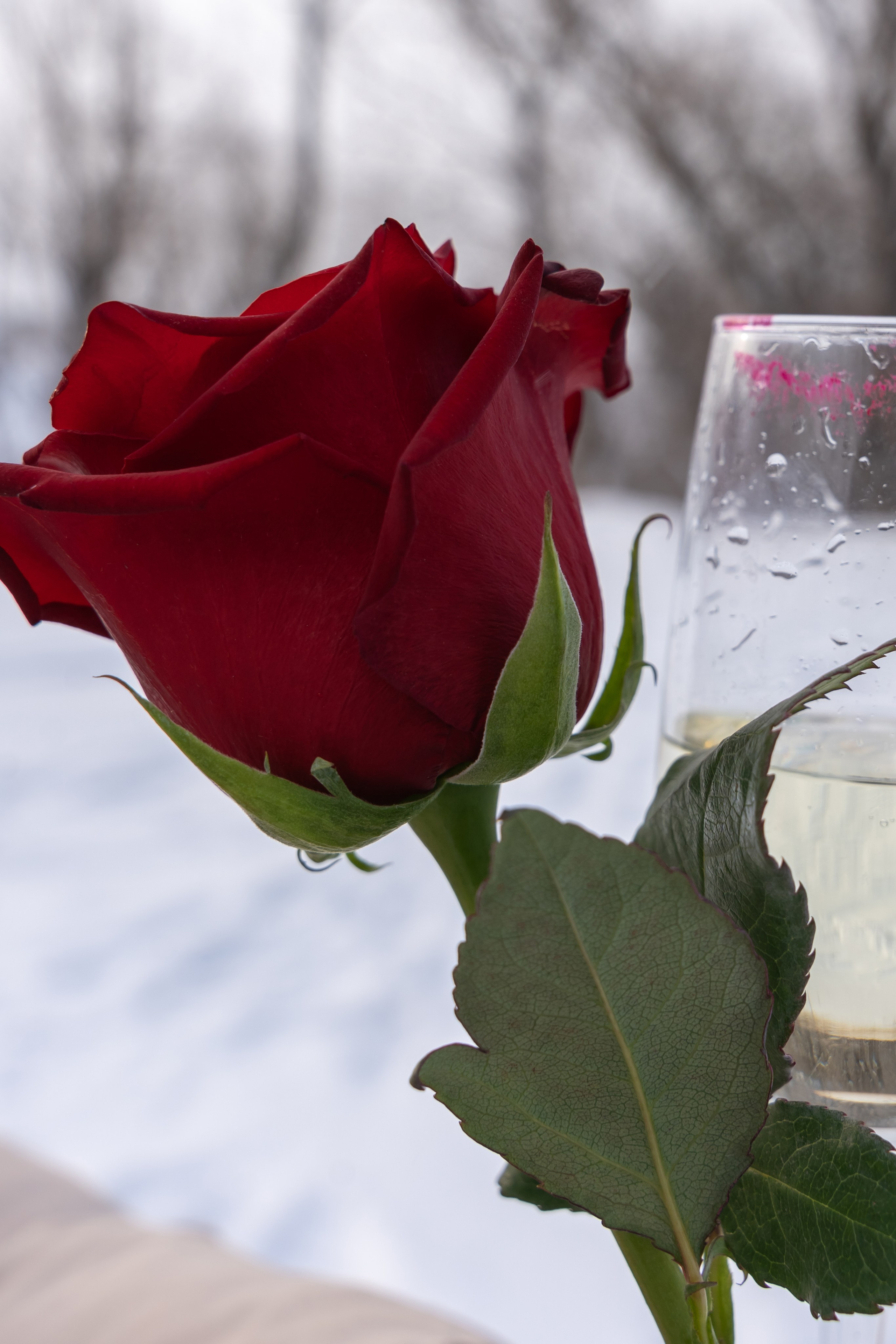 Зимняя фотосессия с Ангелиной. Фотограф |Ленинск, Волжский, Волгоград| Наталья Савилова