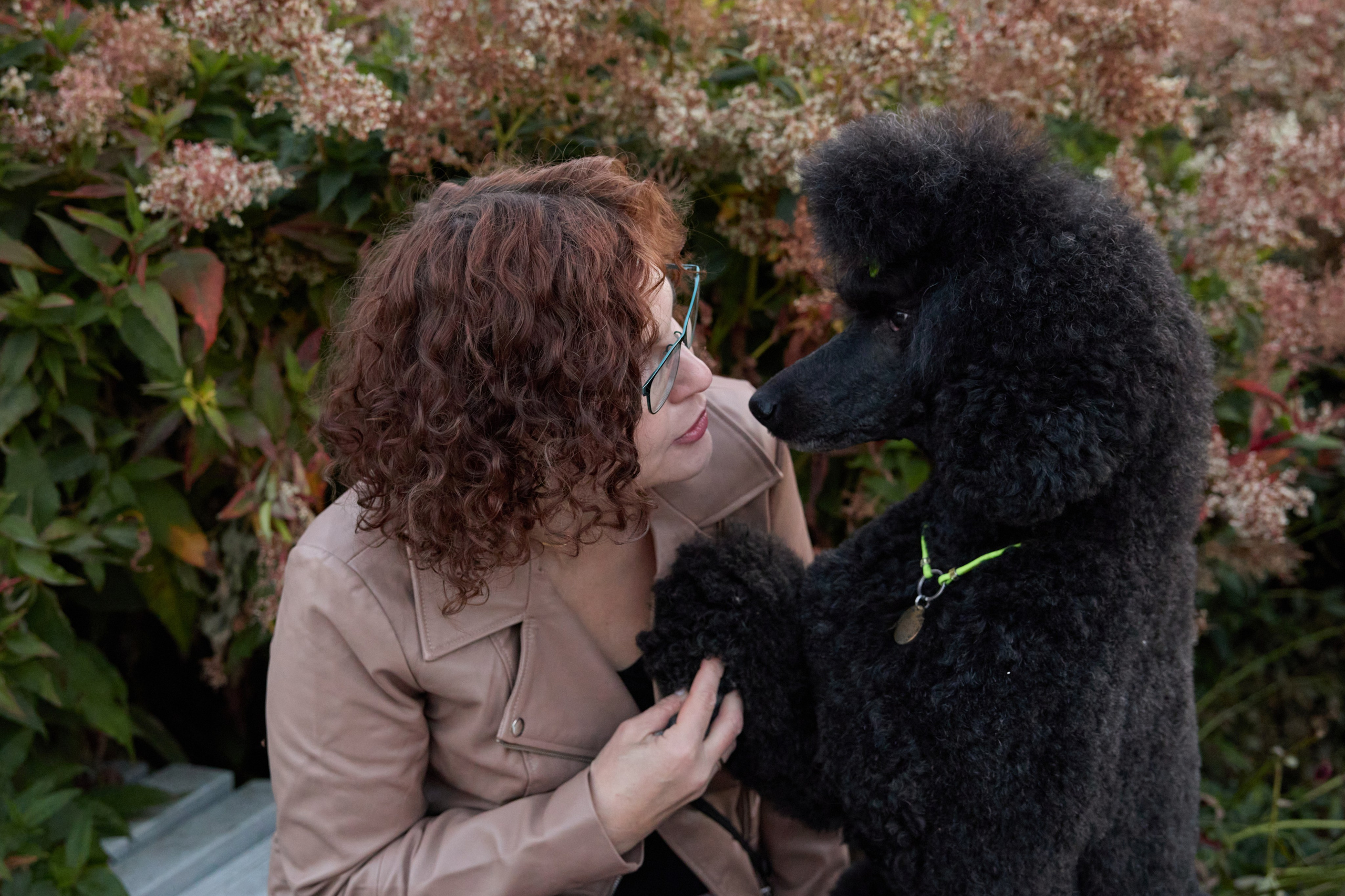 Альбина. Марфа и Мистик. Прогулка в парке. Фотограф анималист в Казани Алина Сулейманова. Фотограф животных