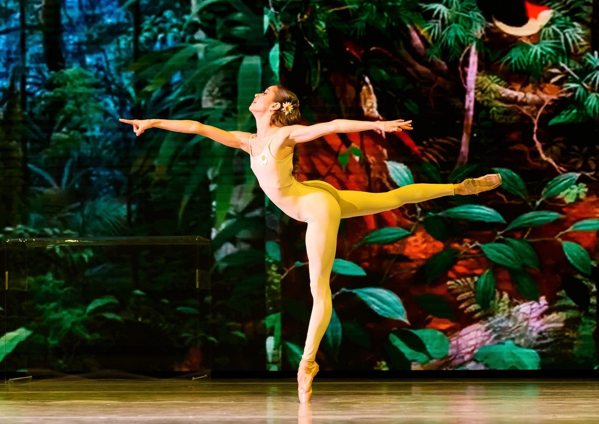 «Сотворение Мира» балет Театр Классического балета Касаткиной Василёва 2025 г