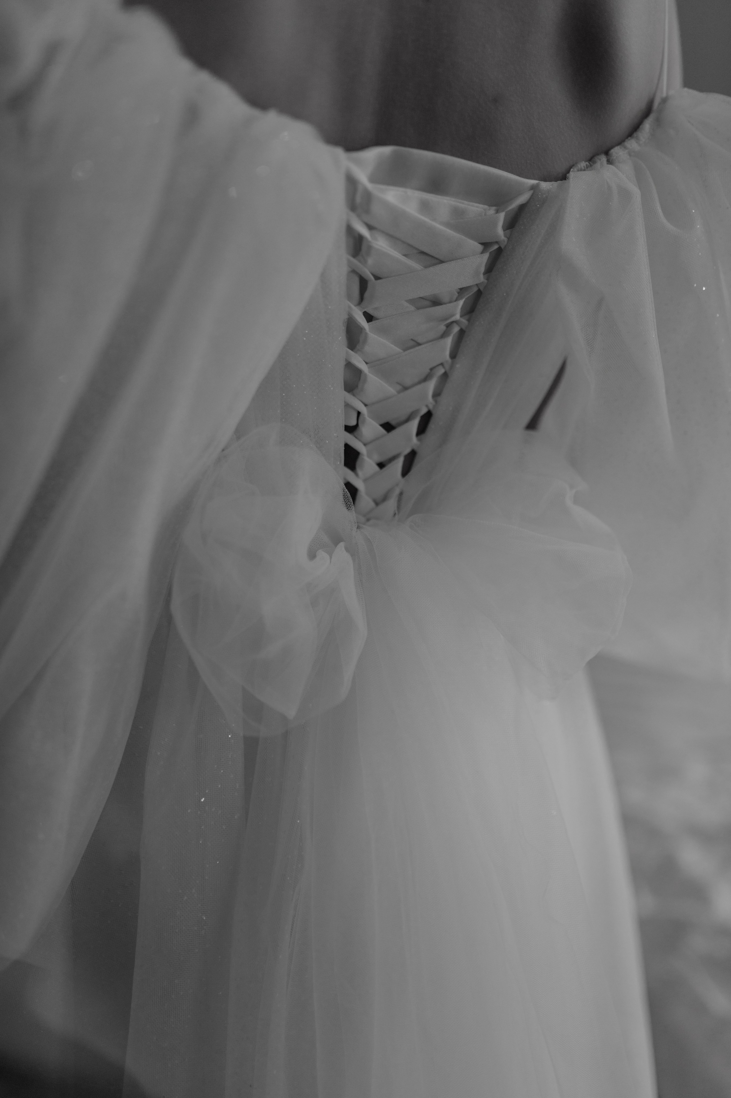 Ярослав и Вероника. Свадебный и Семейный фотограф в Ярославле Алёна Колясникова