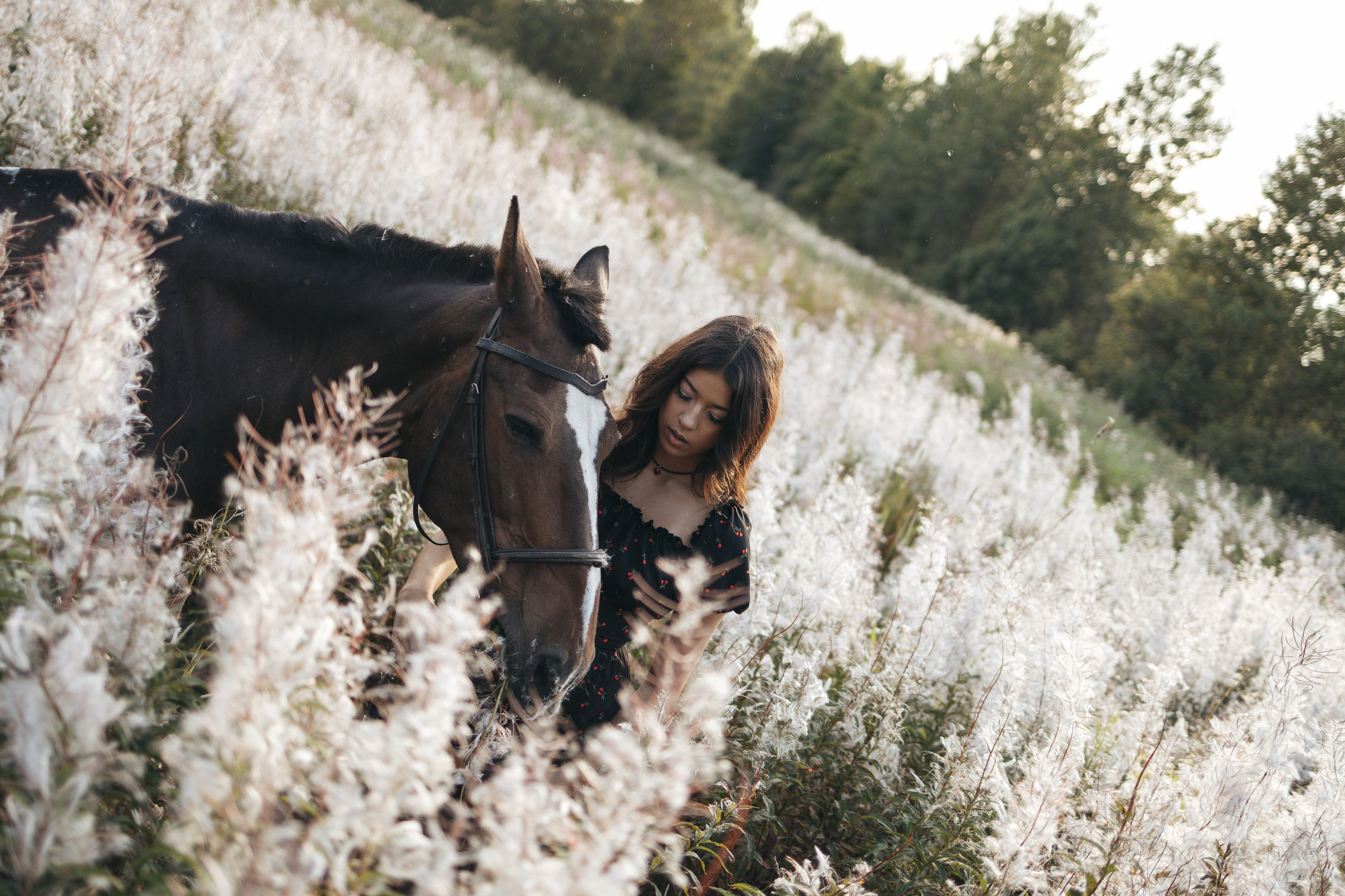 Даша/конюшня. Фотограф в Выборге и Санкт-Петербурге Маша Гуляева