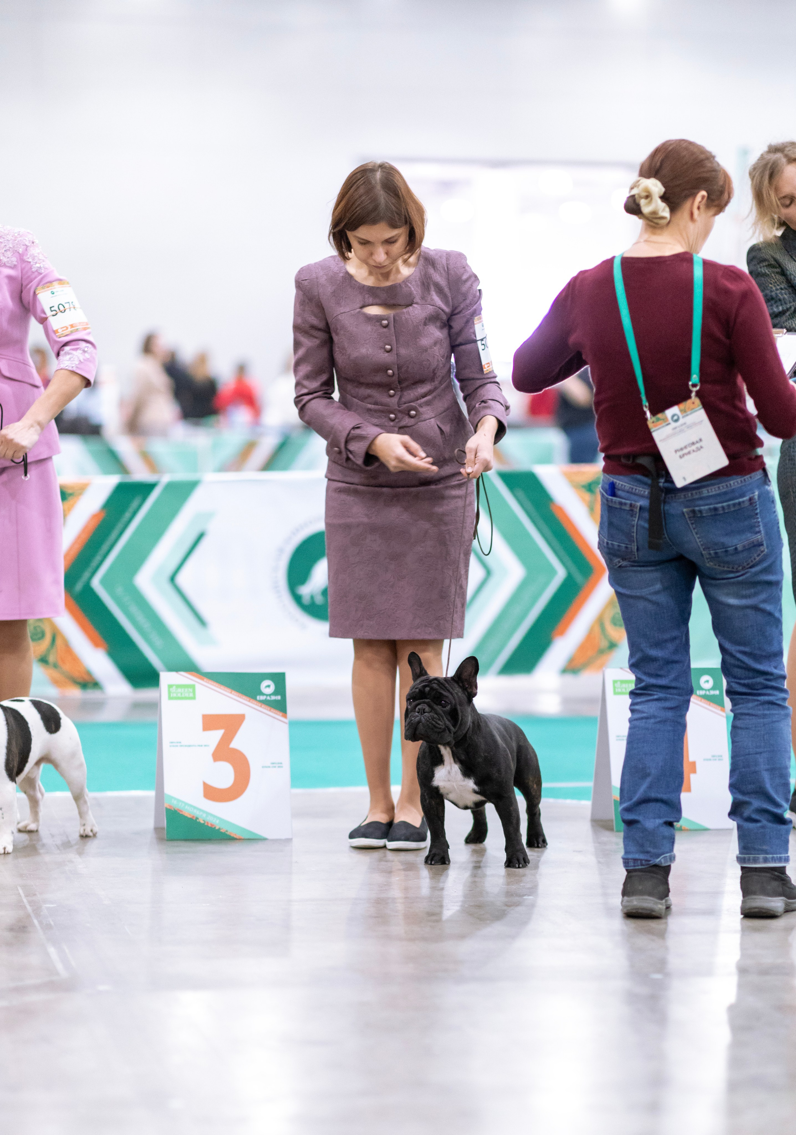 Евразия. Фотограф — анималист Татьяна Ли