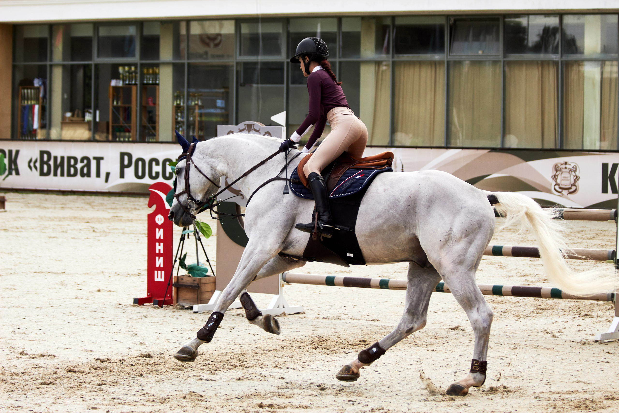 Конкур в «Виват, Россия». Фотограф анималист — Тула, Москва