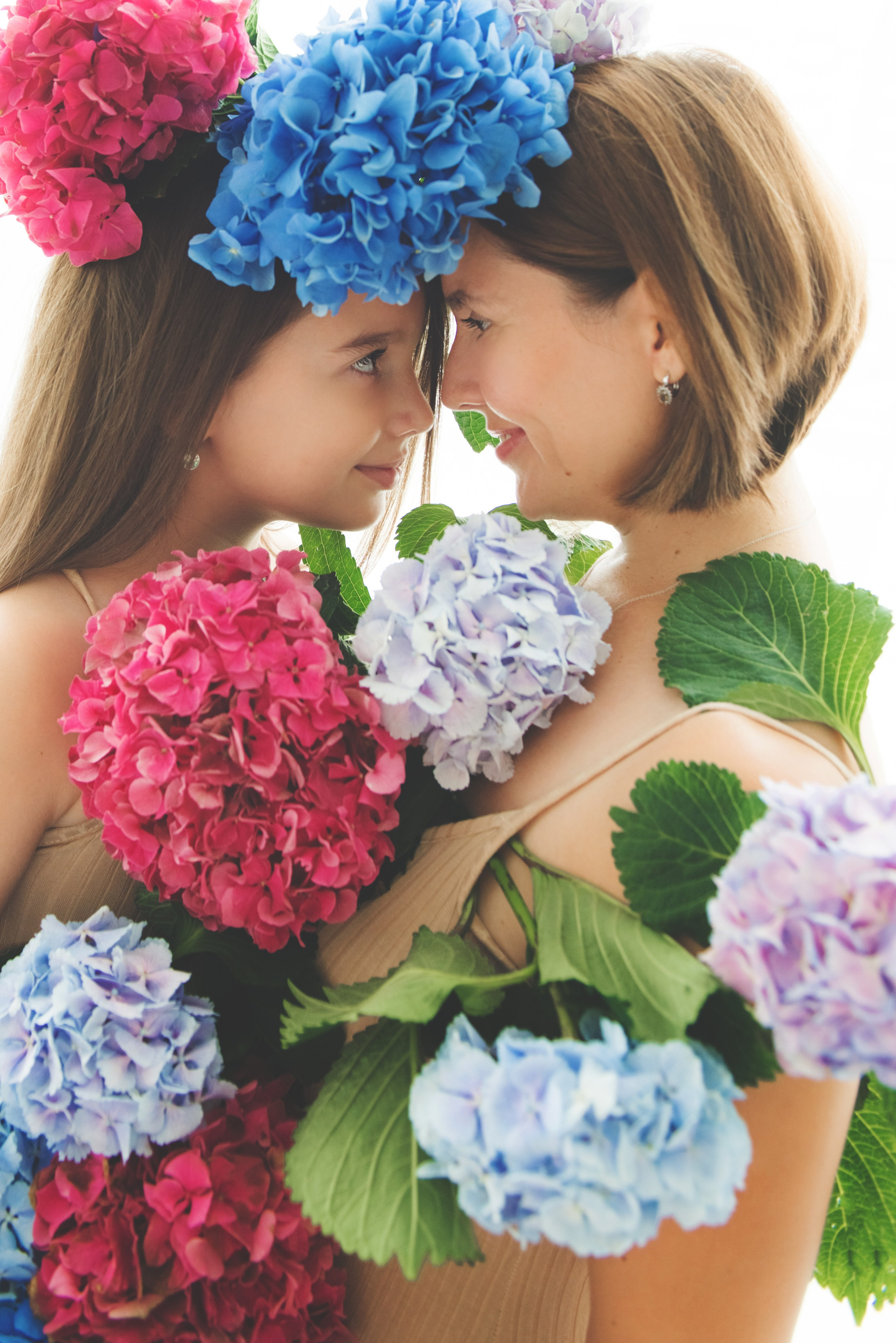 Гортензии. Фотограф новорожденных и детей в Барнауле — Екатерина Шапкина