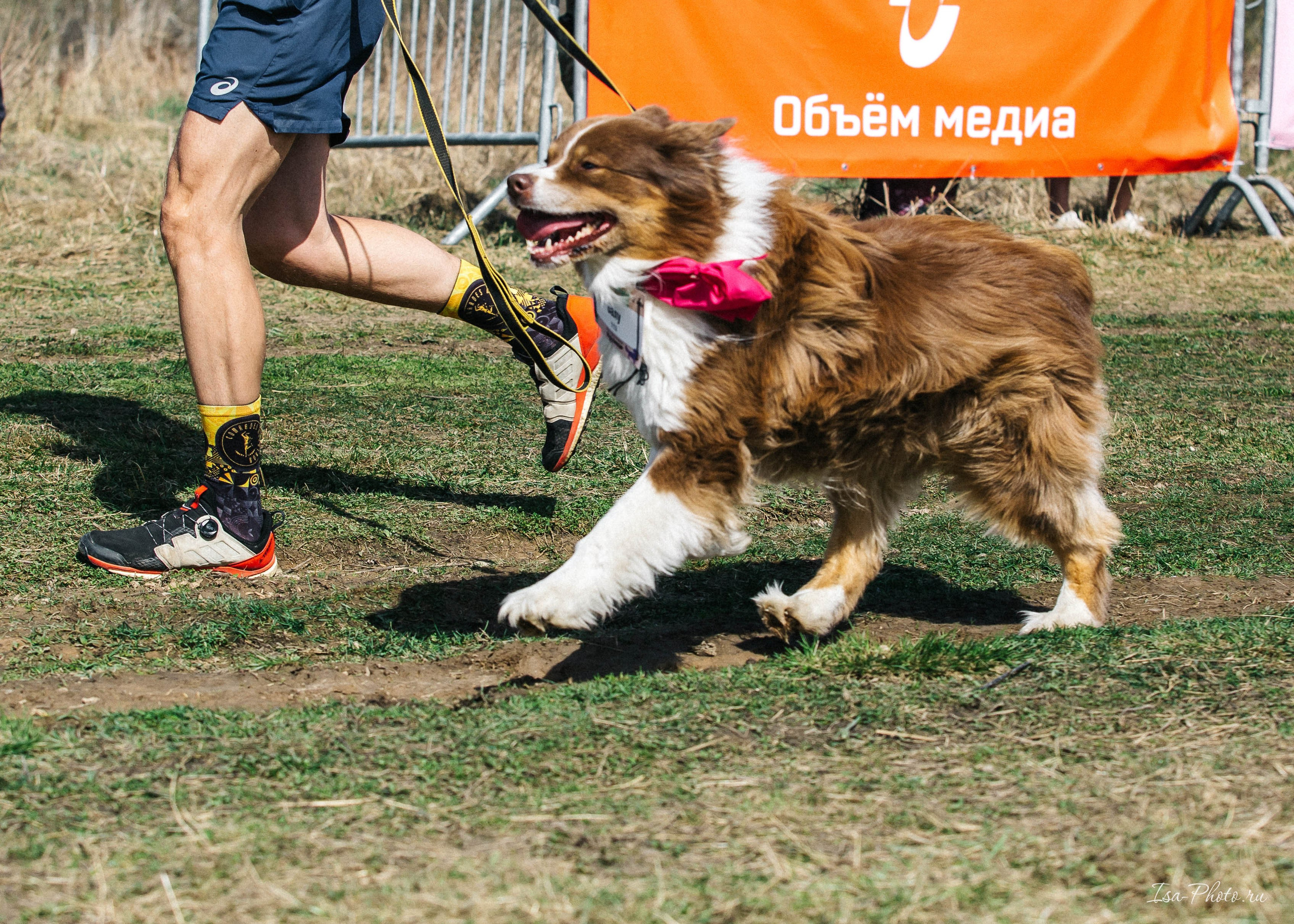 Кросс «Быстрый пёс» 2025. Репортажный фотограф в Москве