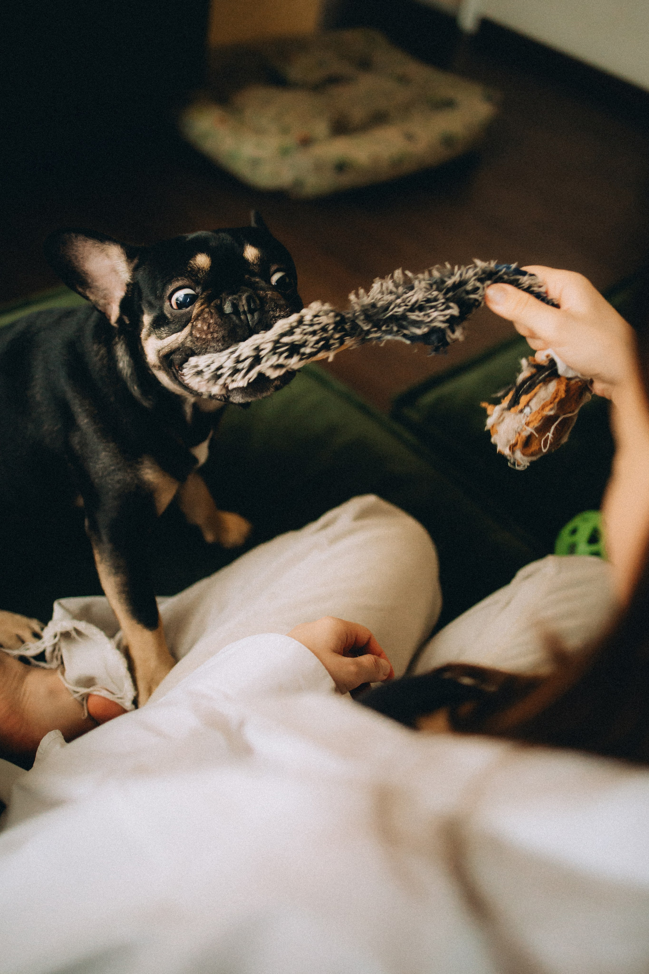 Юля, Мия и Зек