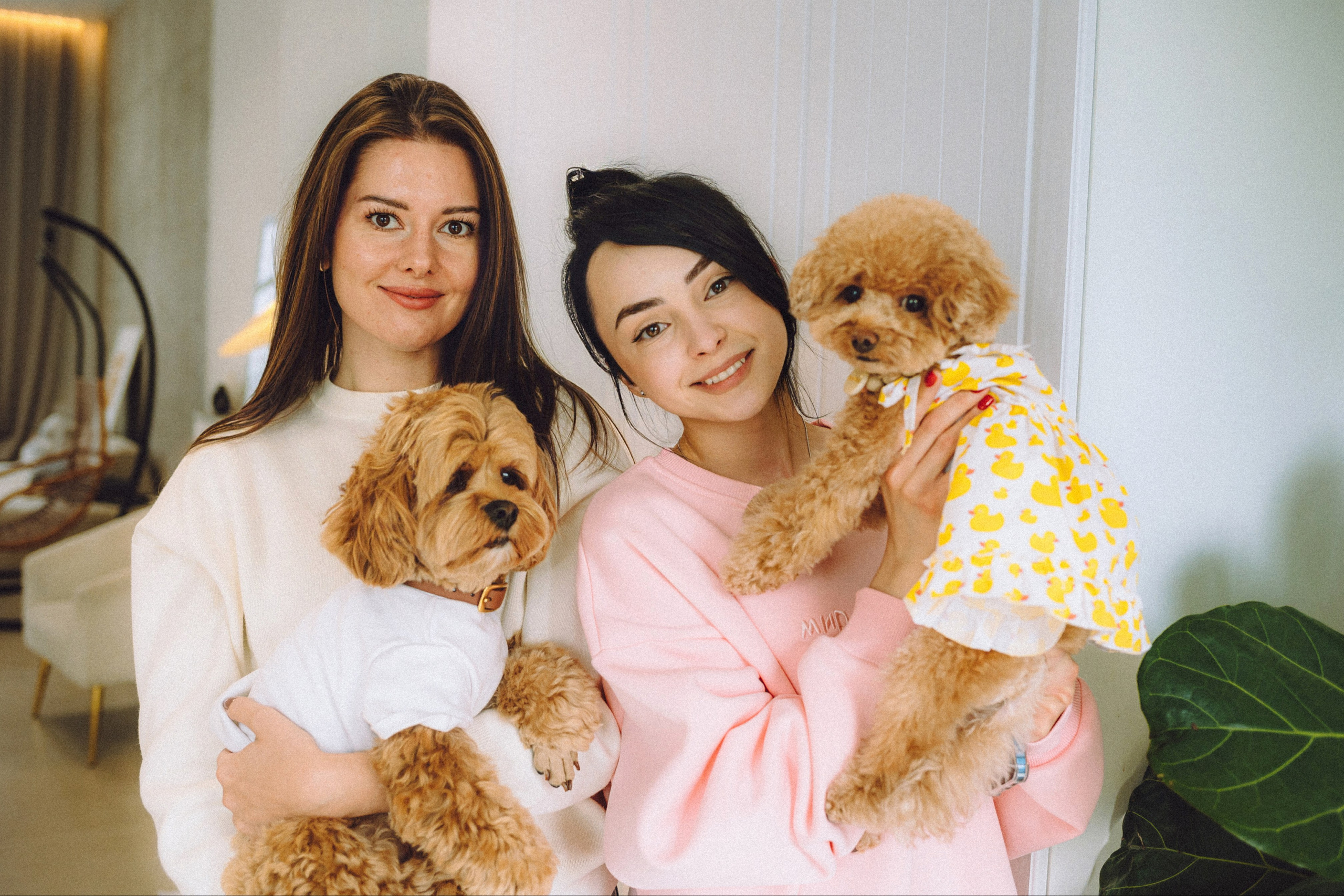 День Рождения пуделя Глаши