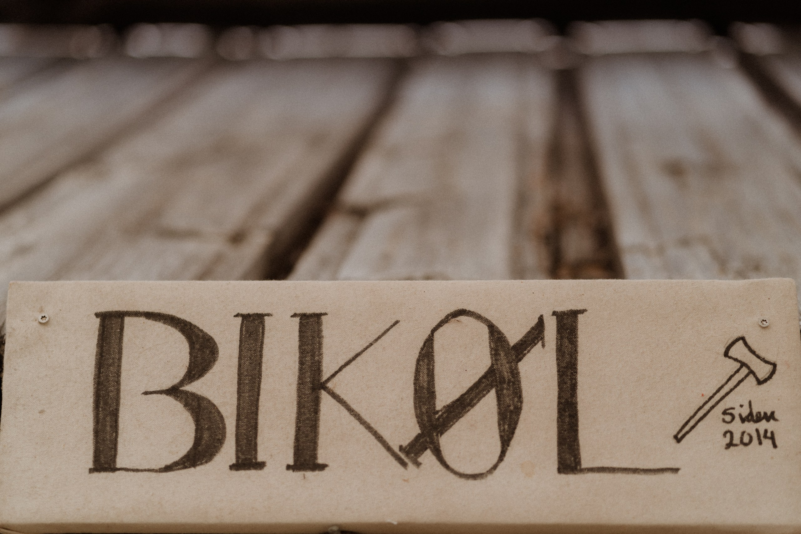 Vilje — Amalie. Elopement Wedding Photographer