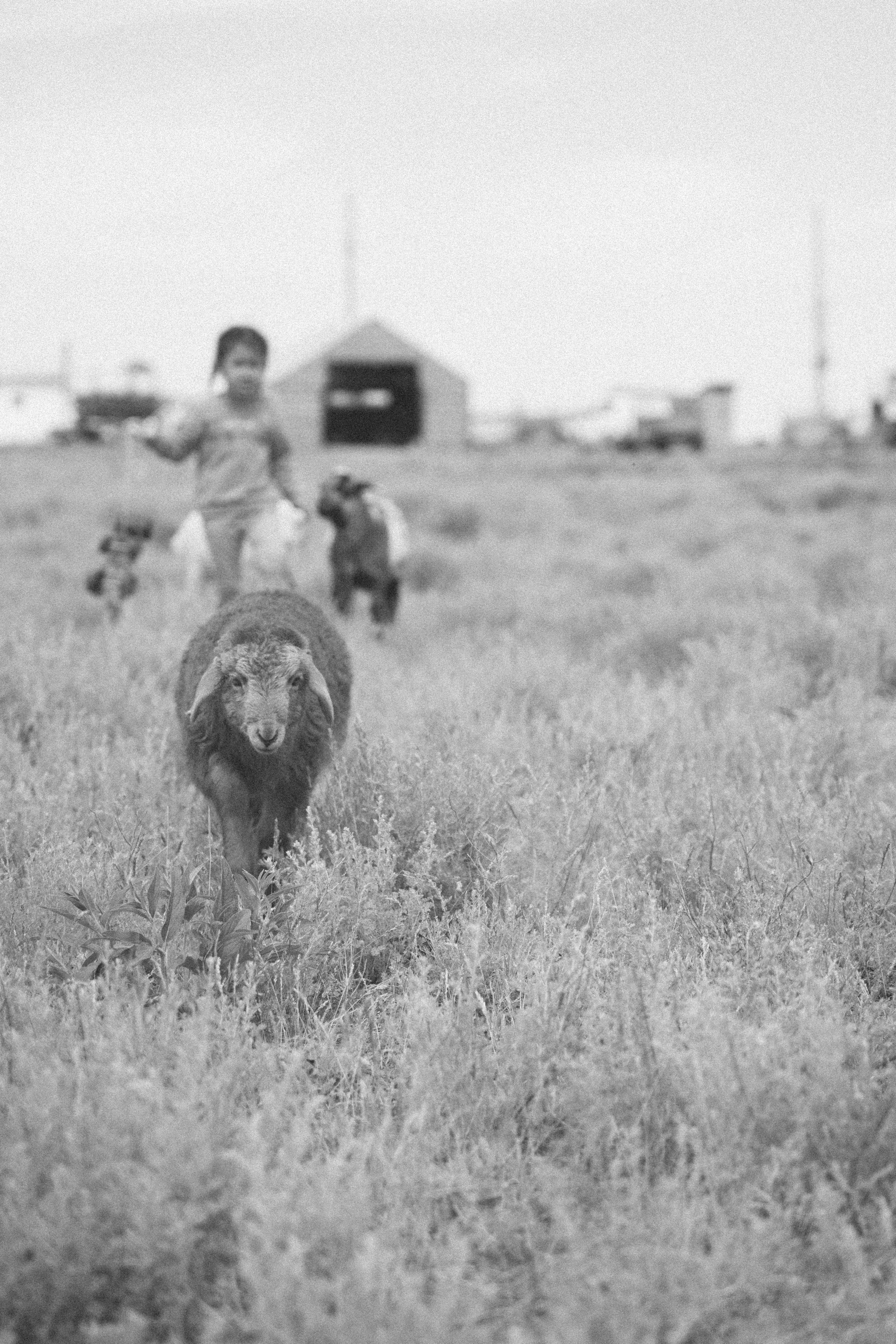 Калмыкия I Май 2024. Commercial photographer Natalia Bychkova