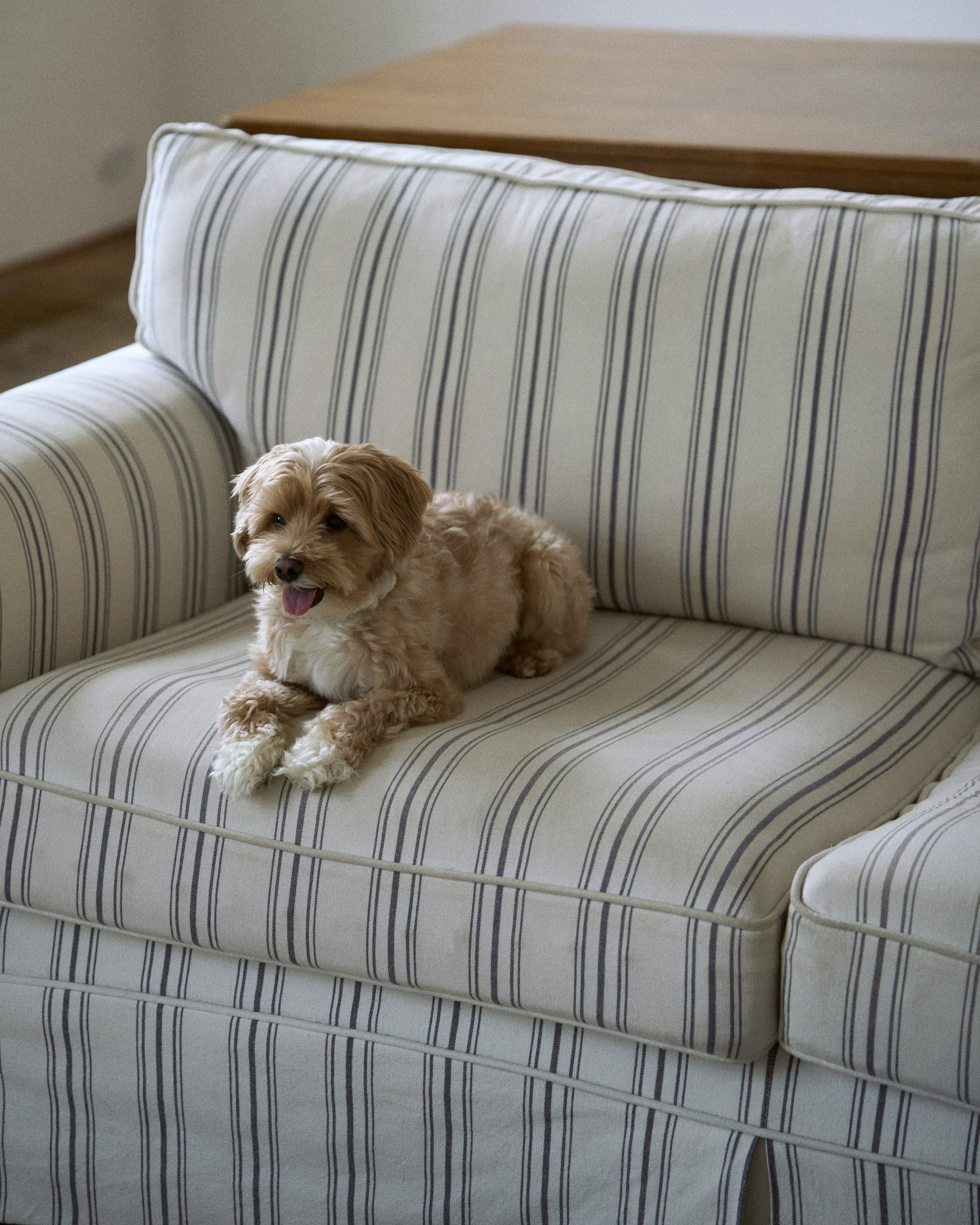 KAROLINA&RUSTAM. ANNA — PHOTOGRAPHER