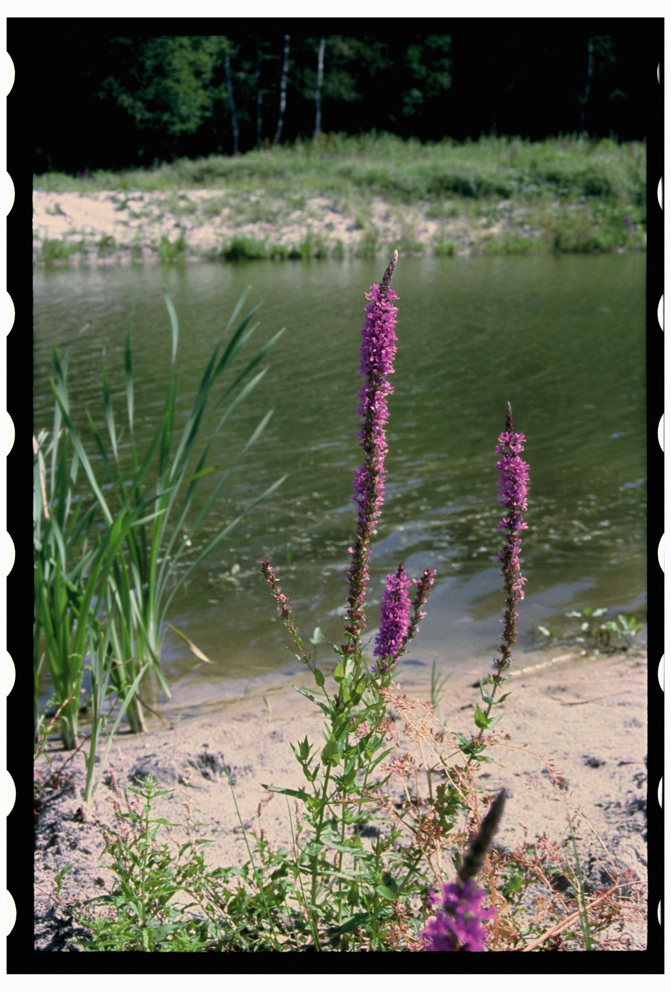 KALUGA. ANNA — PHOTOGRAPHER