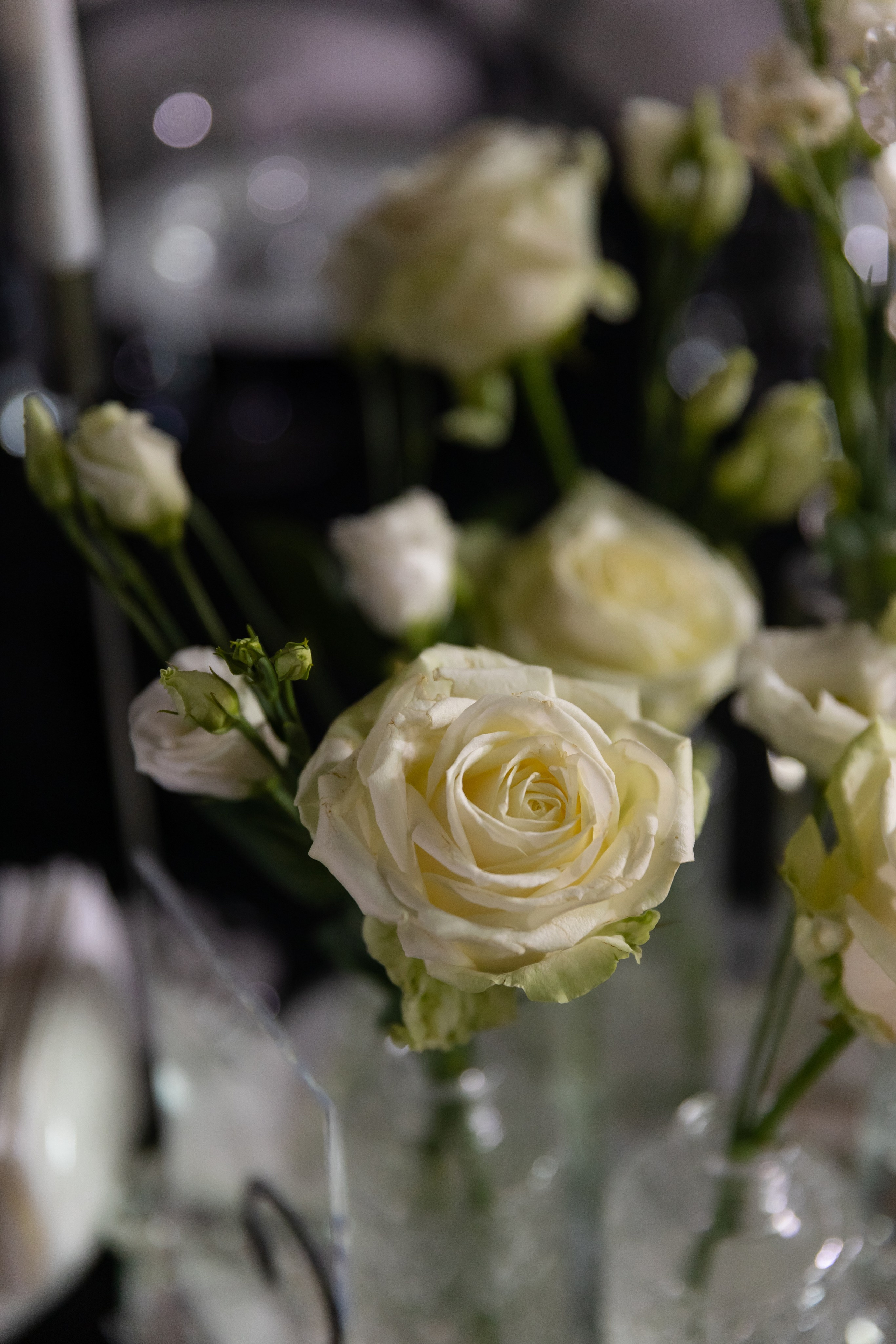 Екатерина и Константин