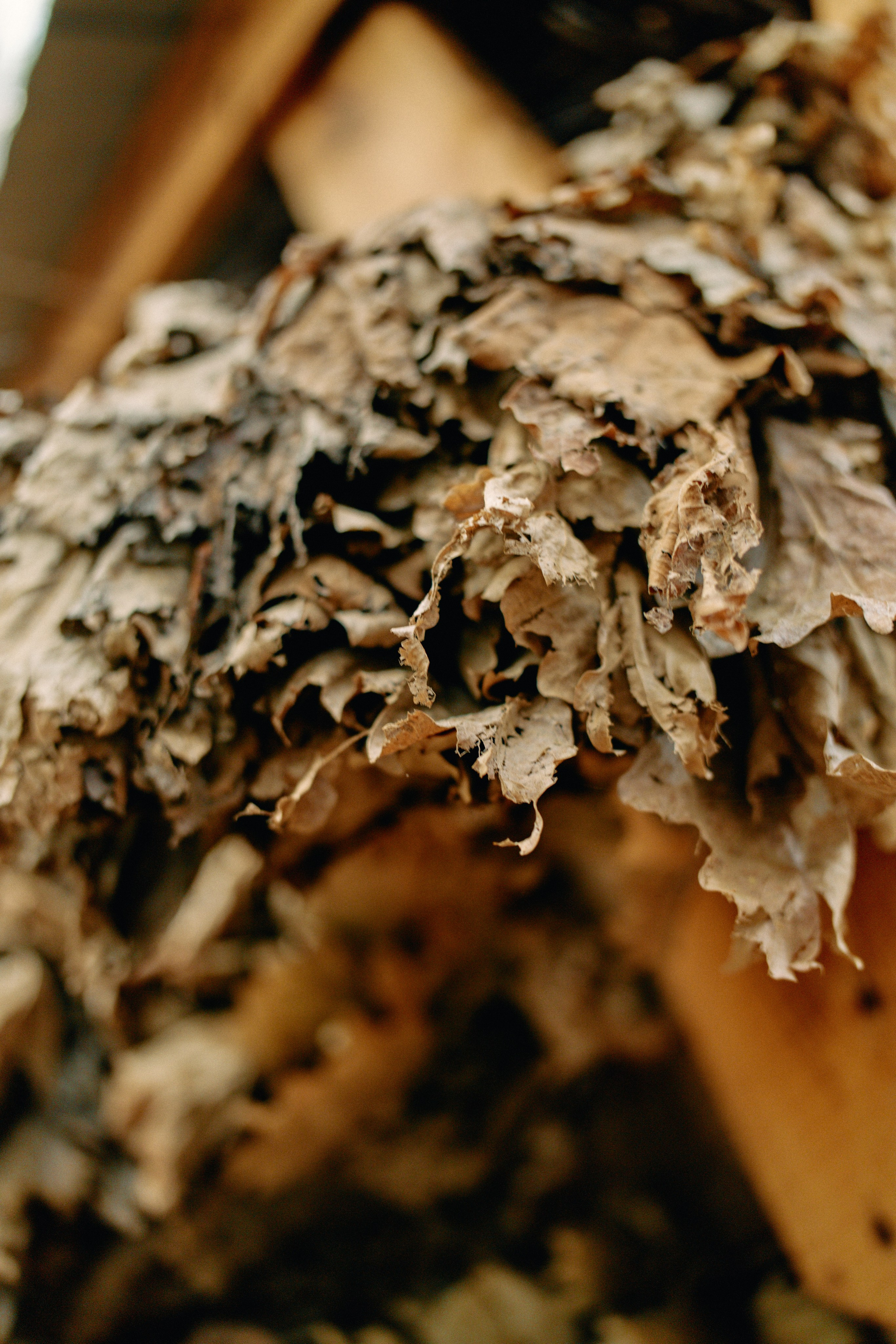 Бутик-отель Поле летом. Профессиональный Фотограф во Владимире, в Москве и в Суздале — Полина Романычева