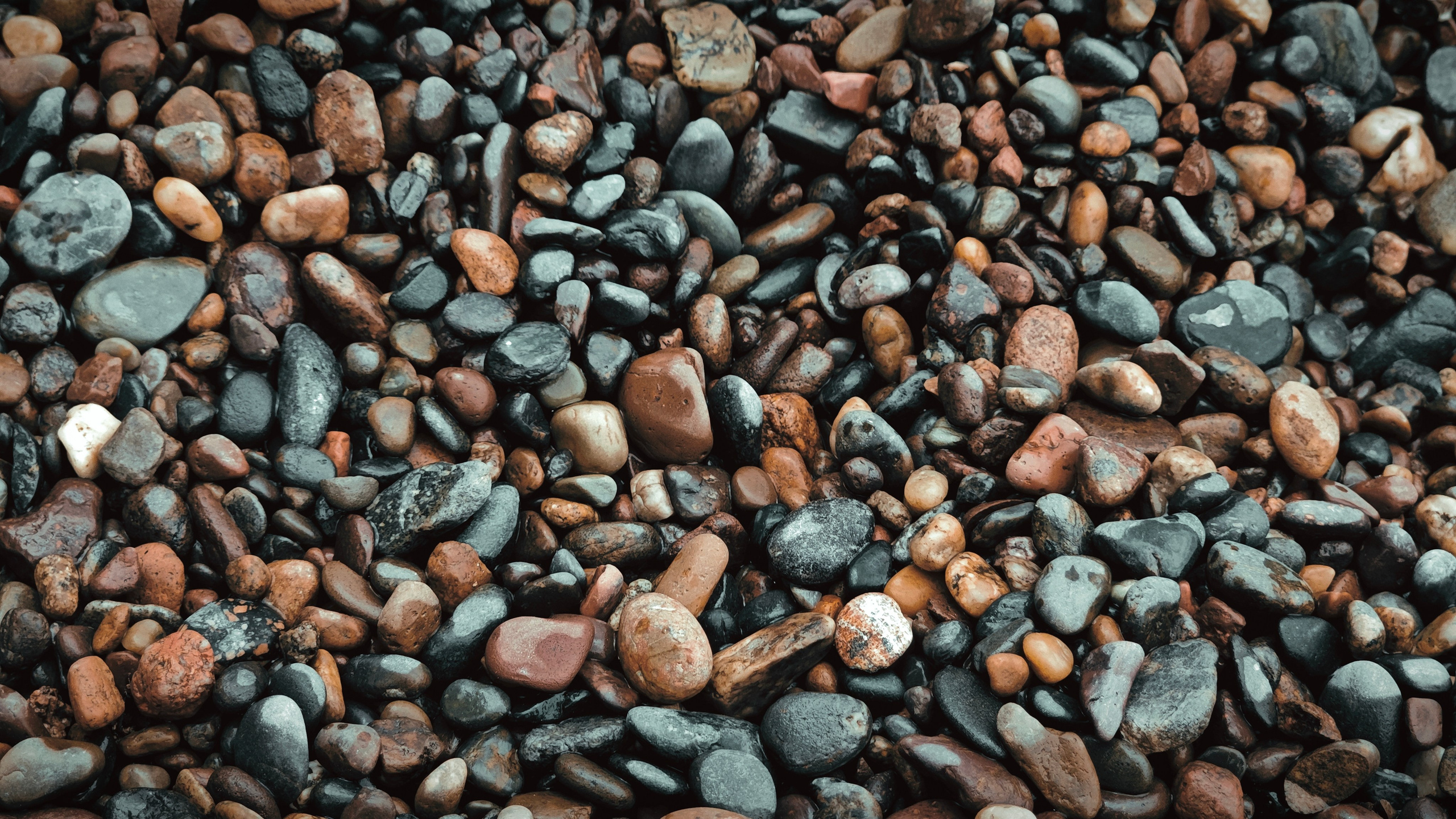 Игорь Урывский. Фотограф Красноярск