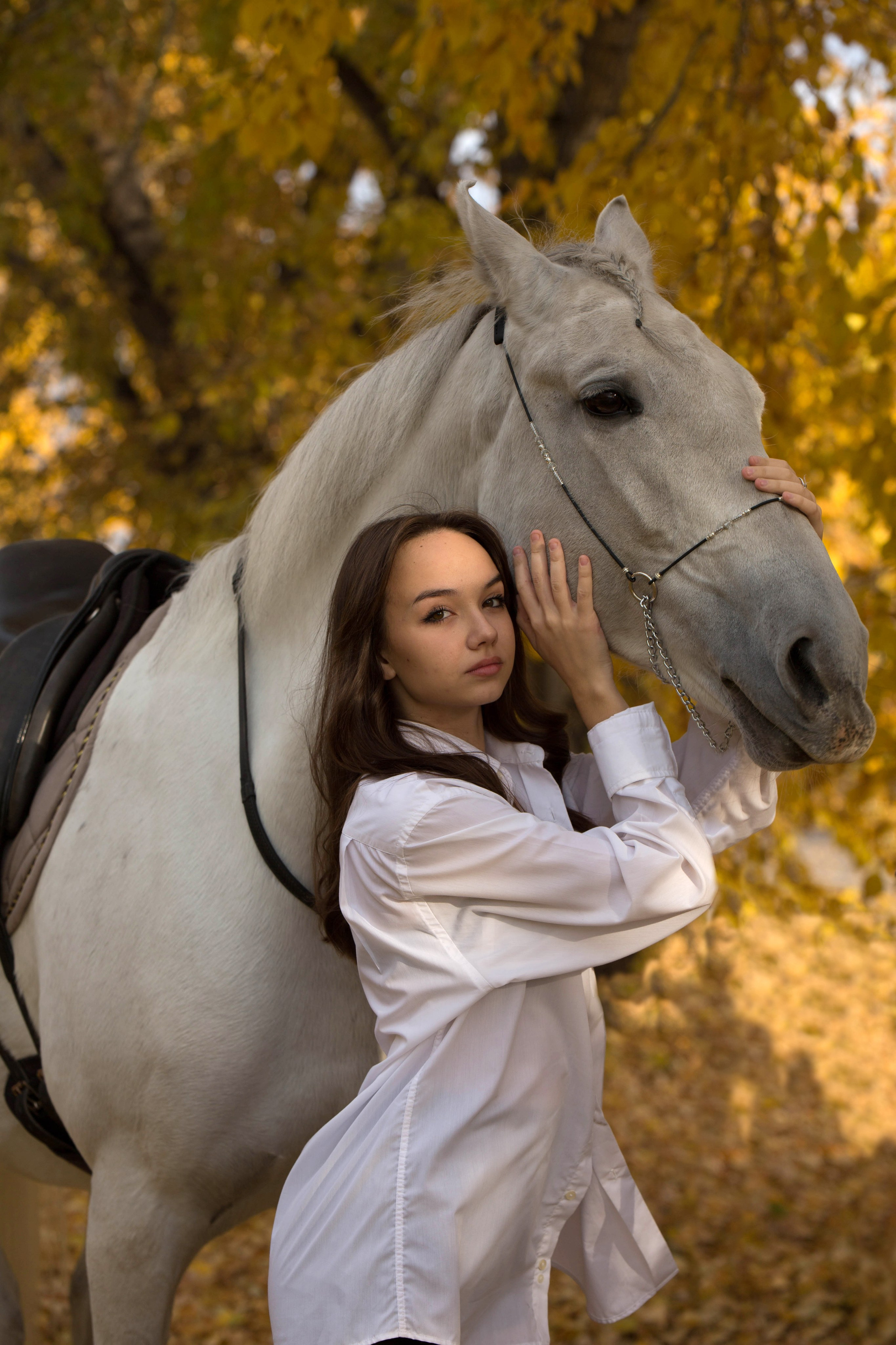 Зина и Пэрис. Конный фотограф в Красноярске — Любовь Похабова