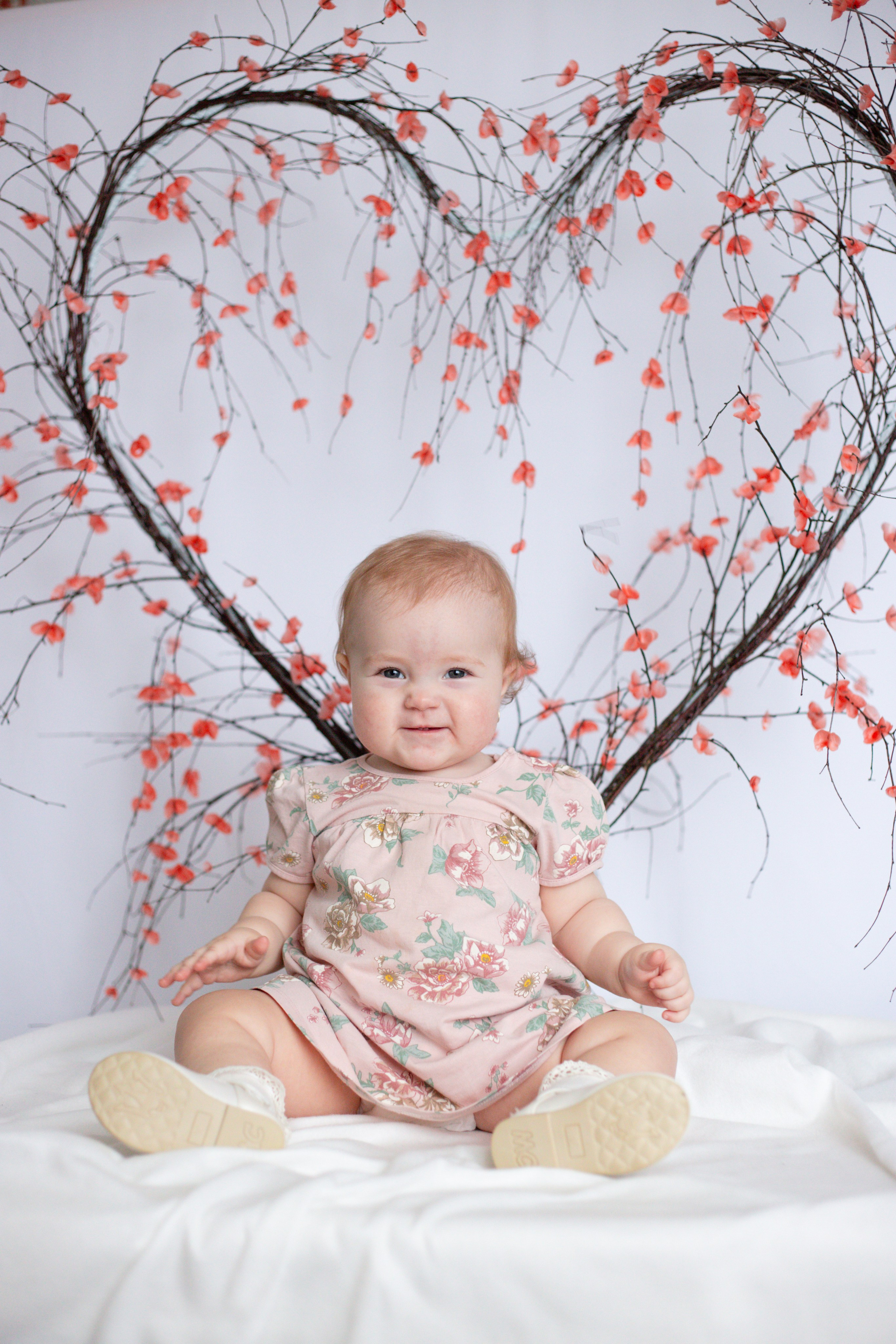 Сердце (14 февраля)