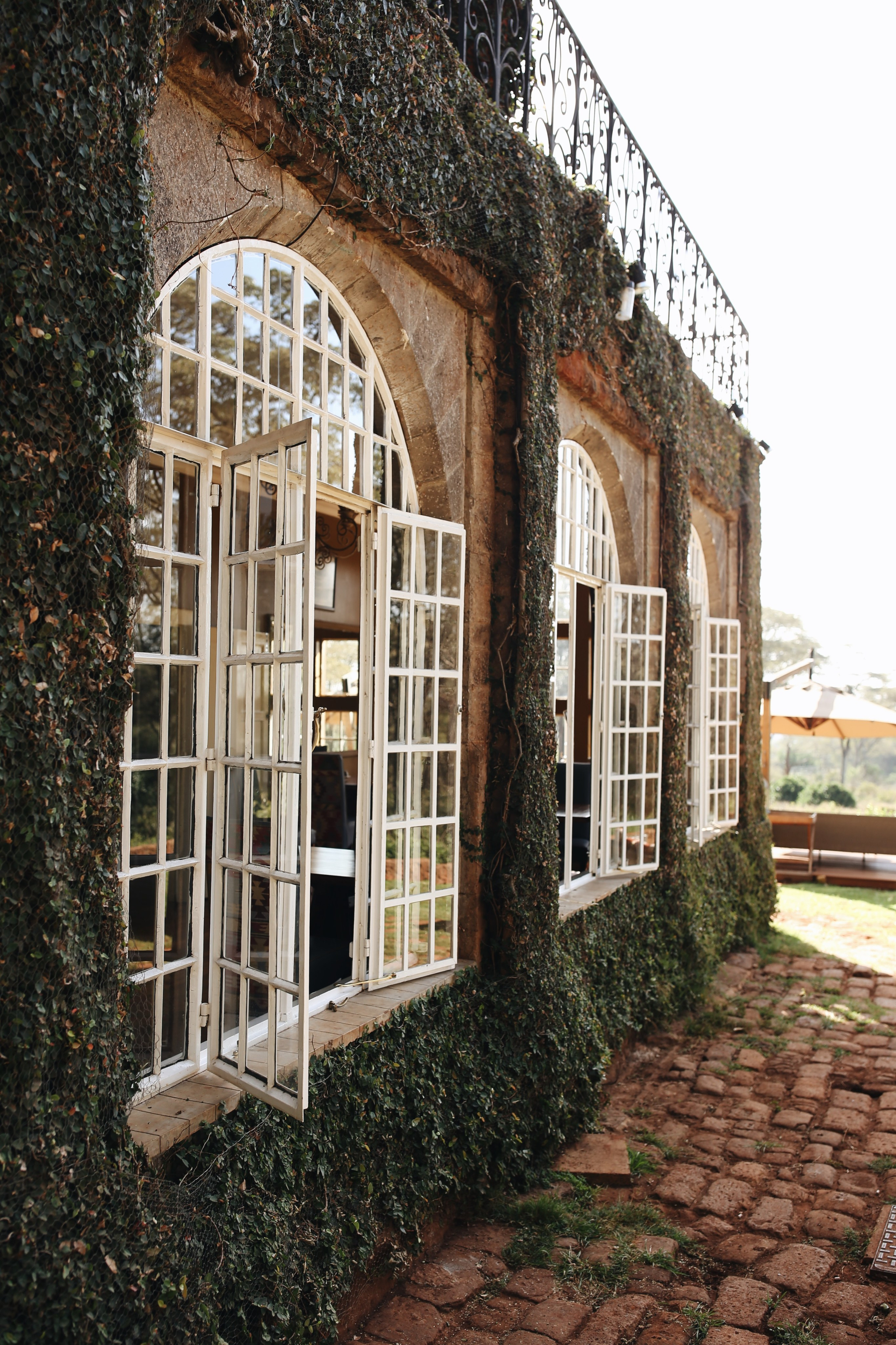 Kenya. Safari. Ekaterina Buneeva Photography