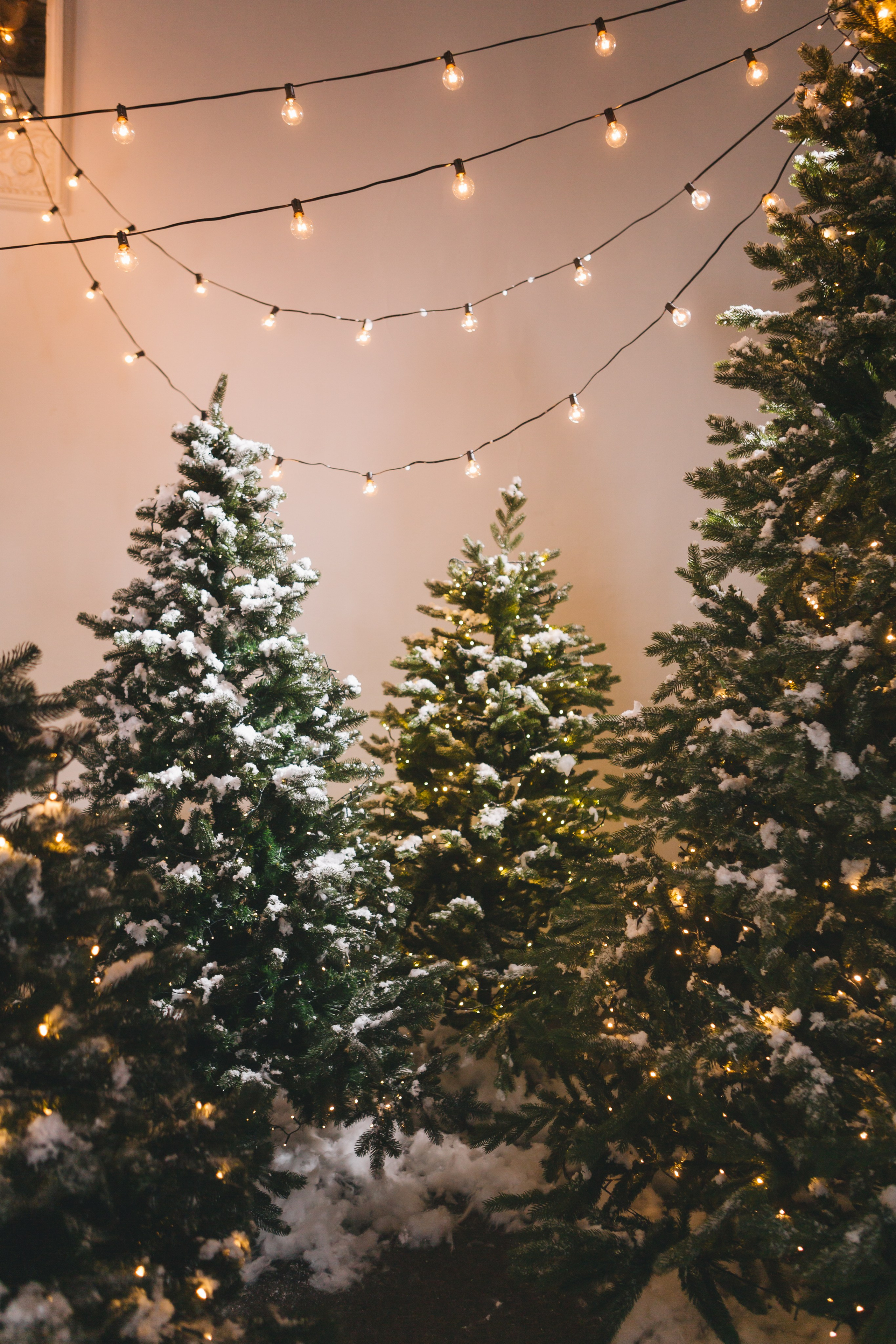 Фотостудия История Воронеж