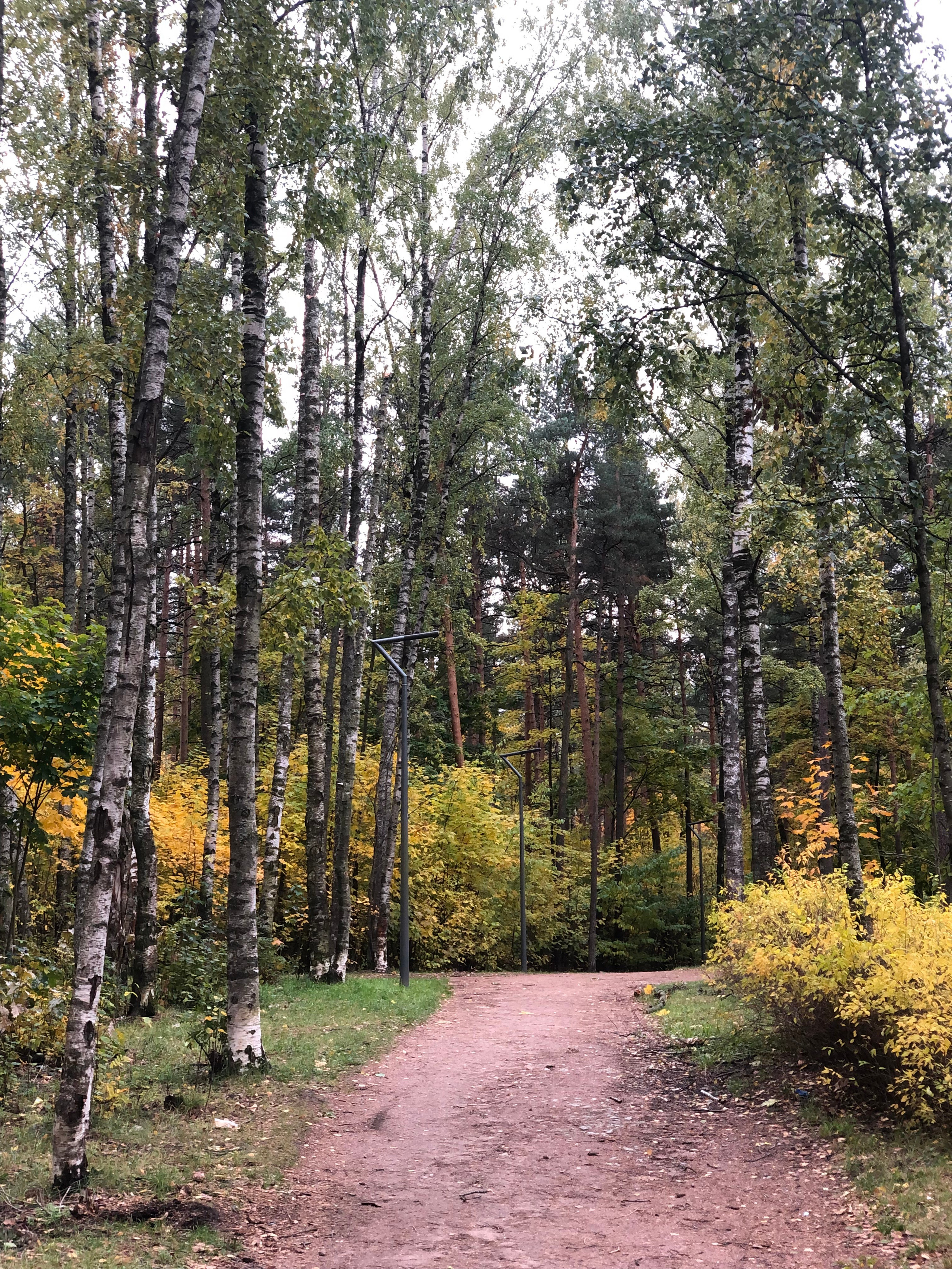 Октябрь. Семейный, Свадебный фотограф СПБ Питер— Романова Екатерина